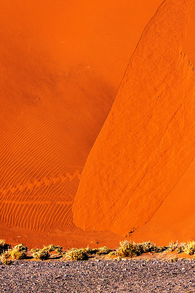 Dune