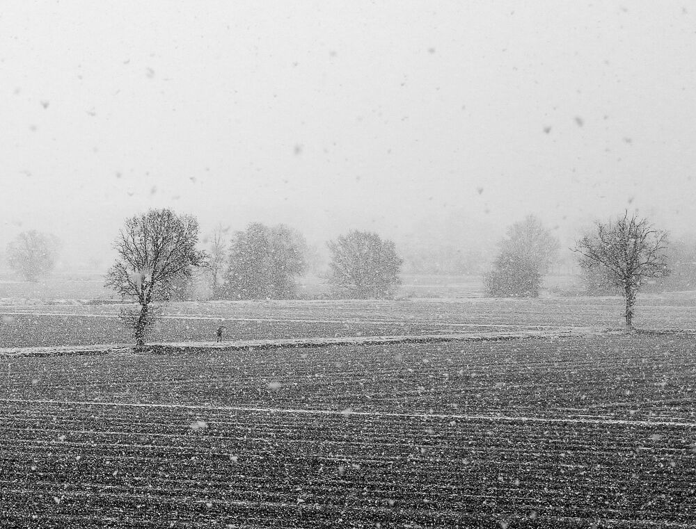 Due passi nella neve