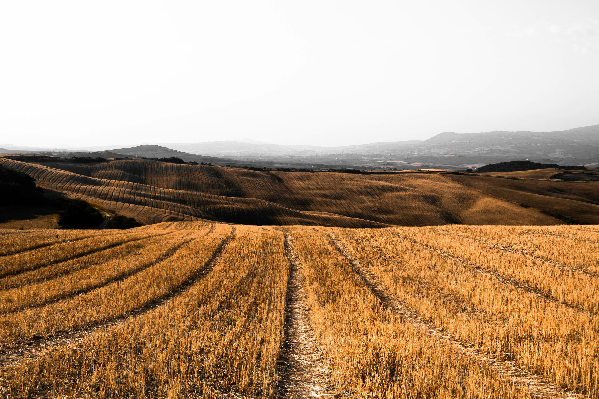 val d'orcia
