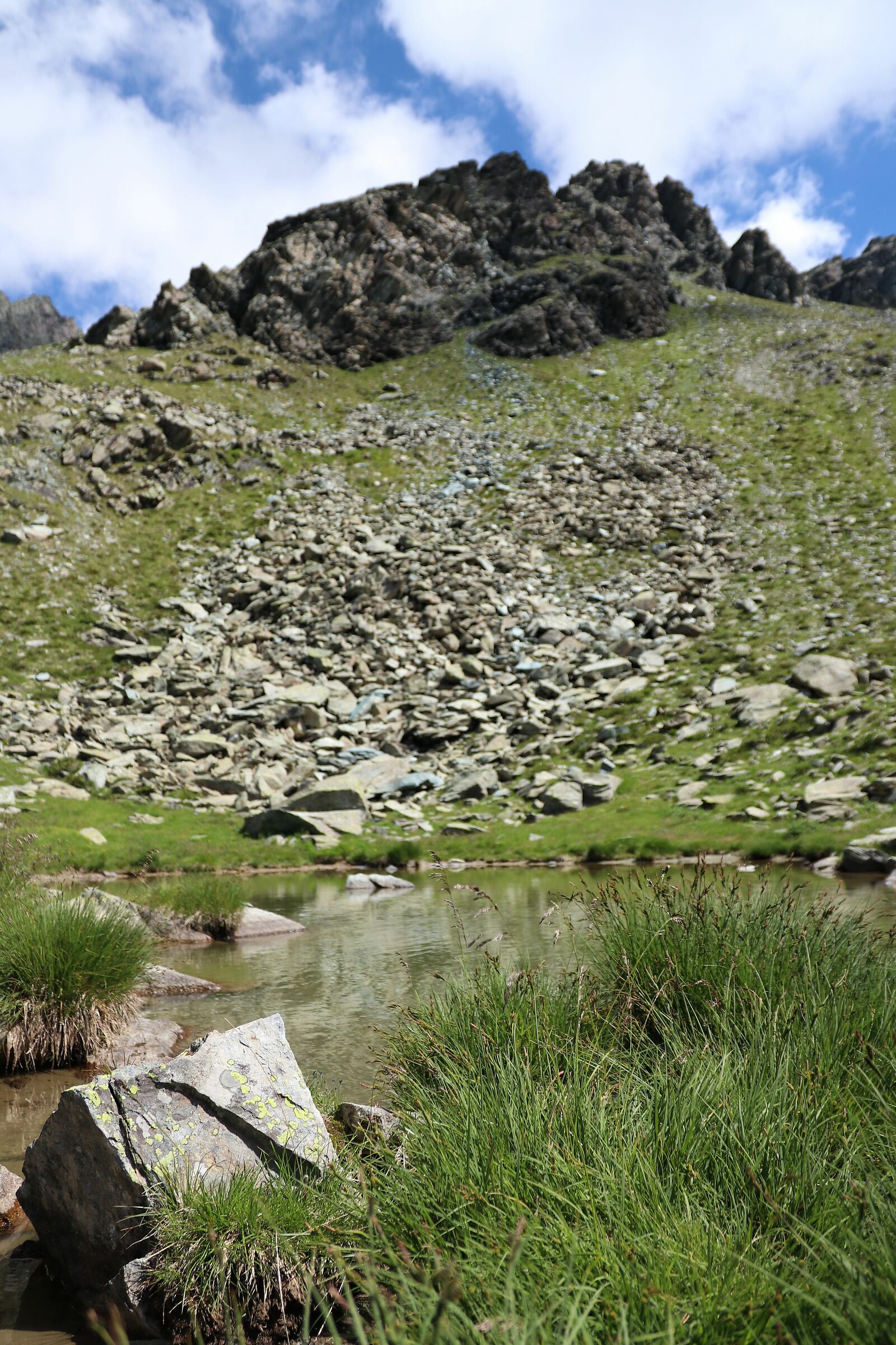 Montagna