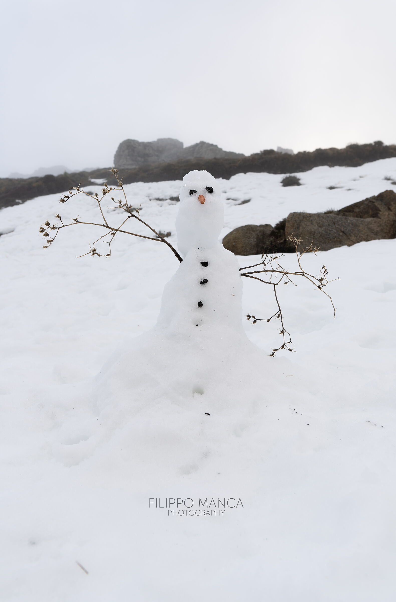 Snowman