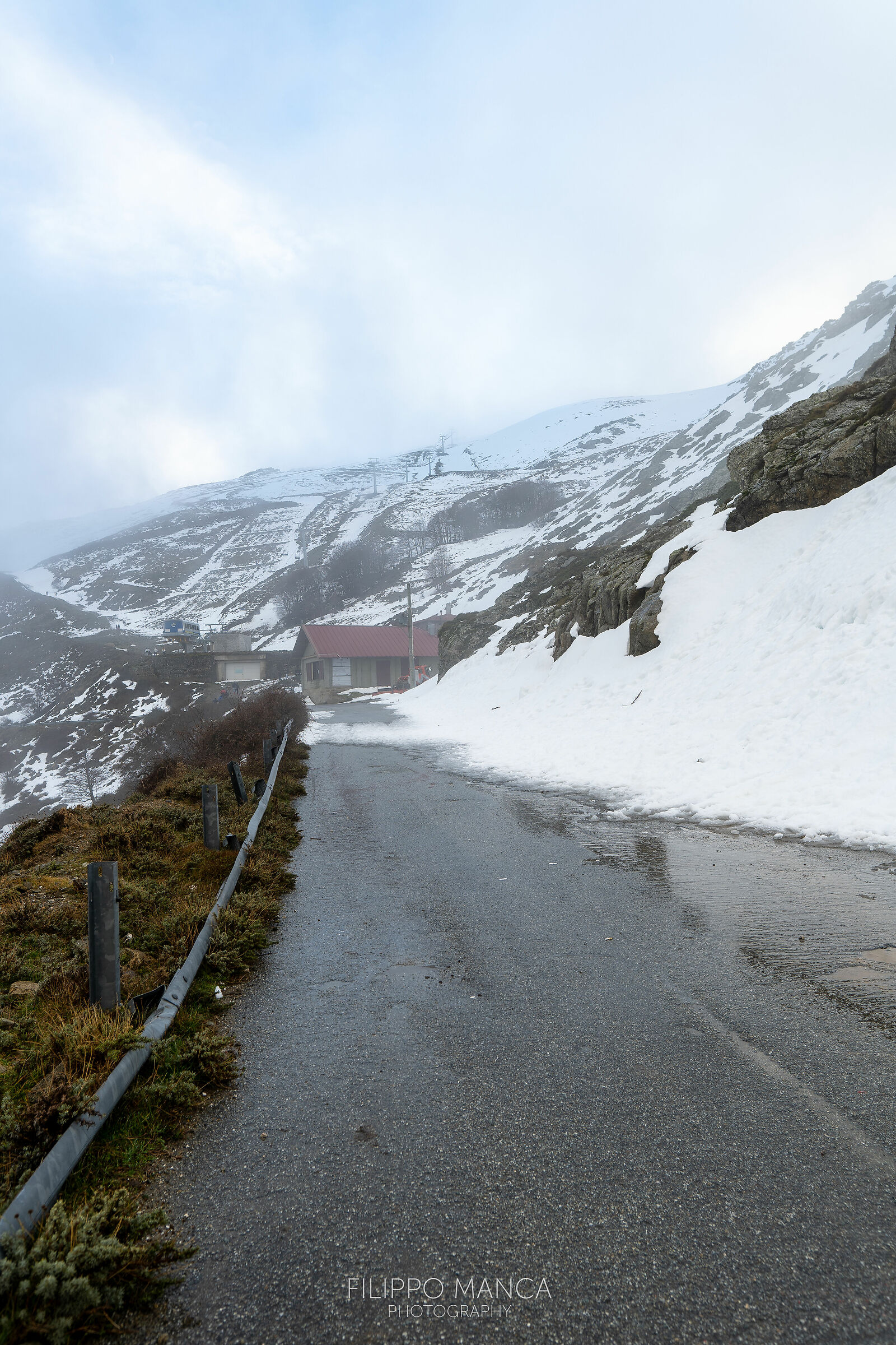 Going up to Bruncuspina