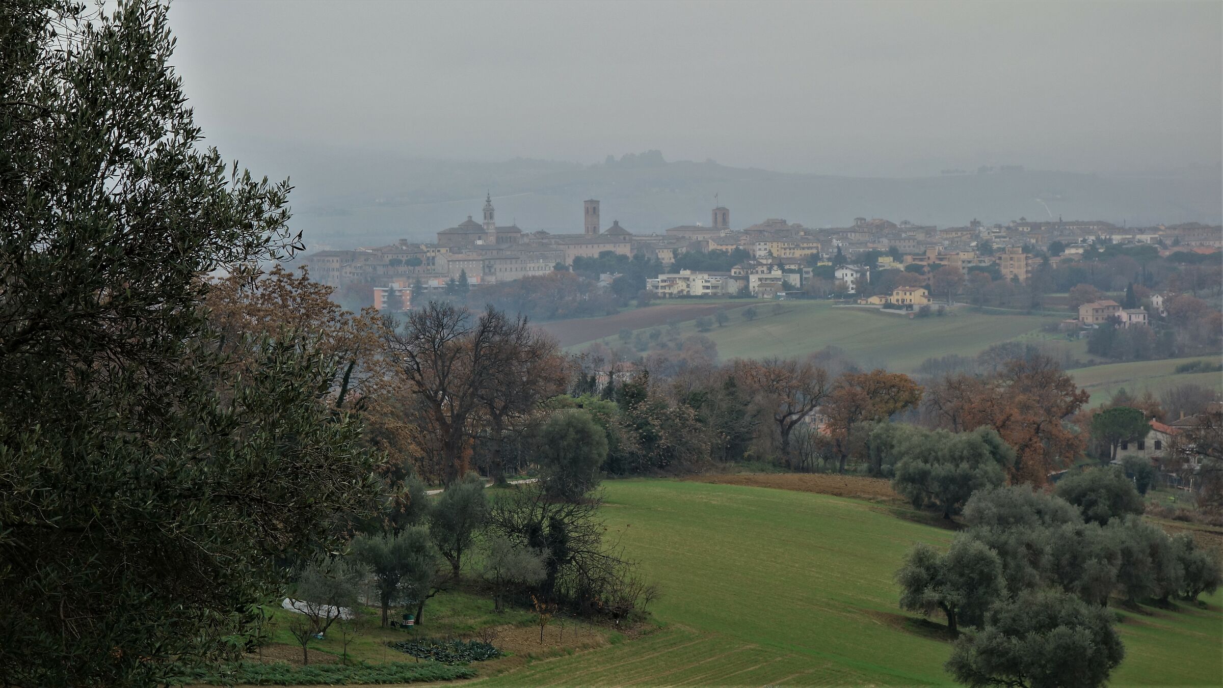 la nebbia agl'irti colli