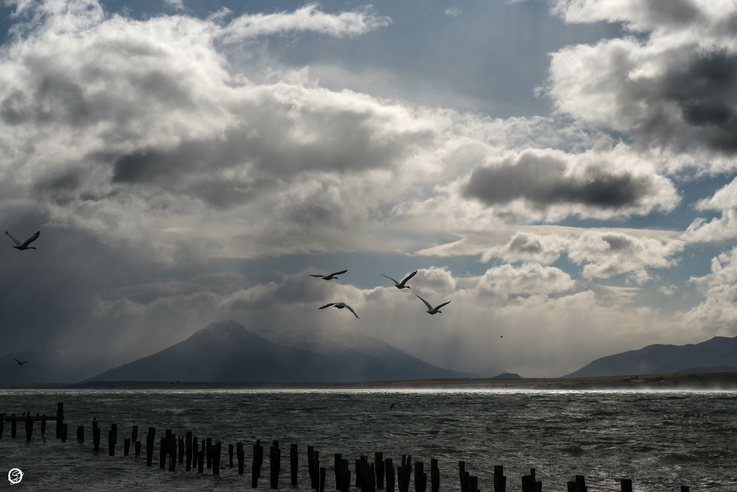 Puerto Natales-Chile