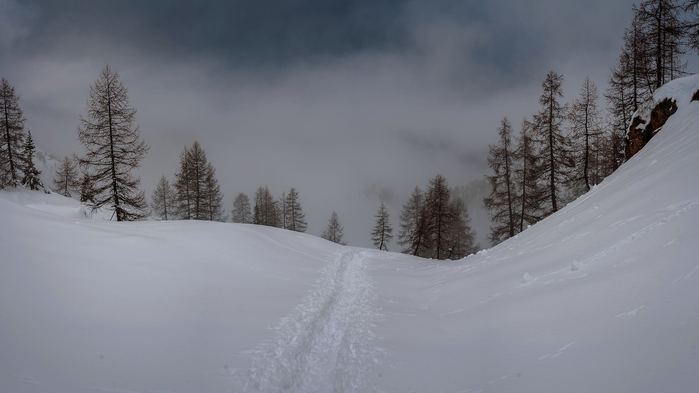Into the unknown.