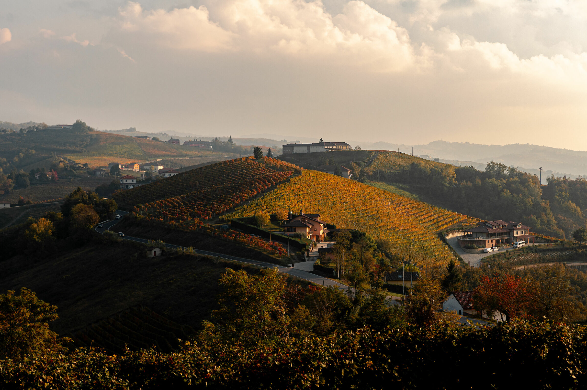Autumn Langhe Part 2