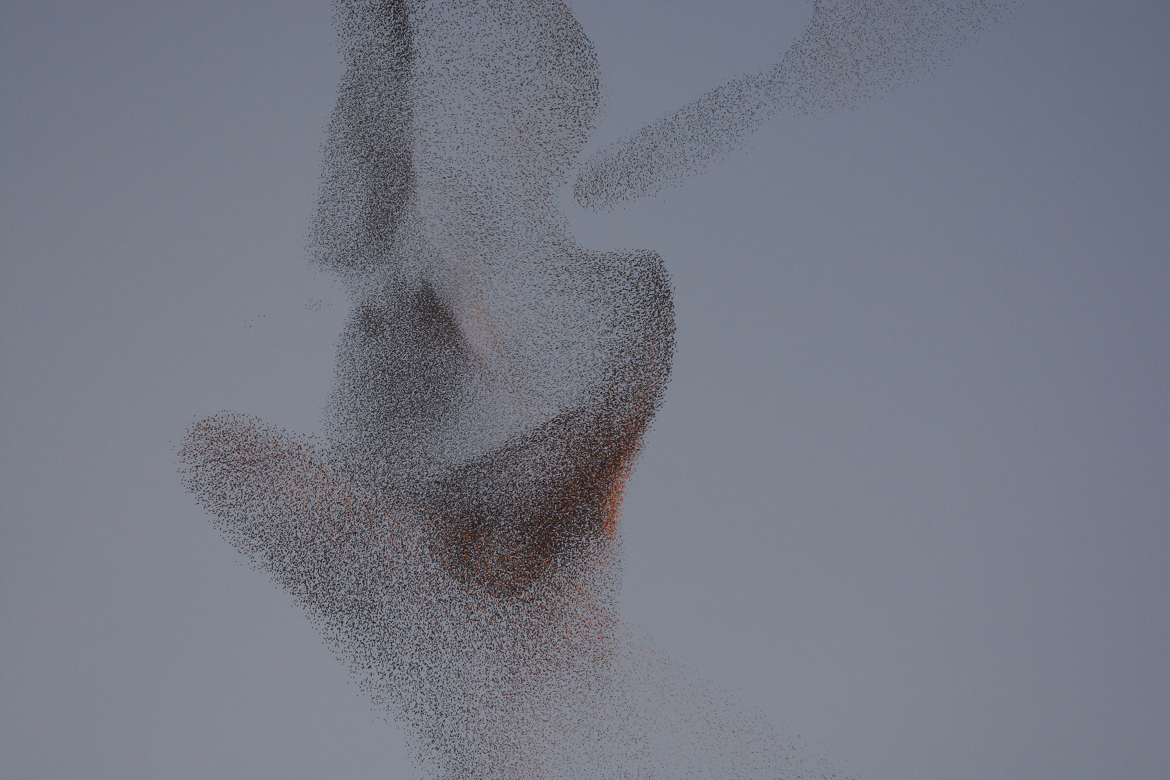 Storni.... Una mano protesa El cielo!