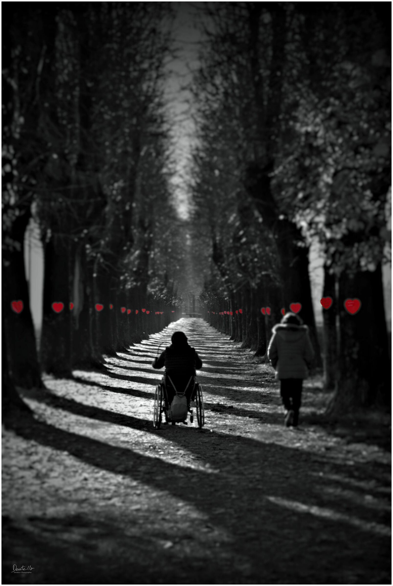 Avenue of hope.