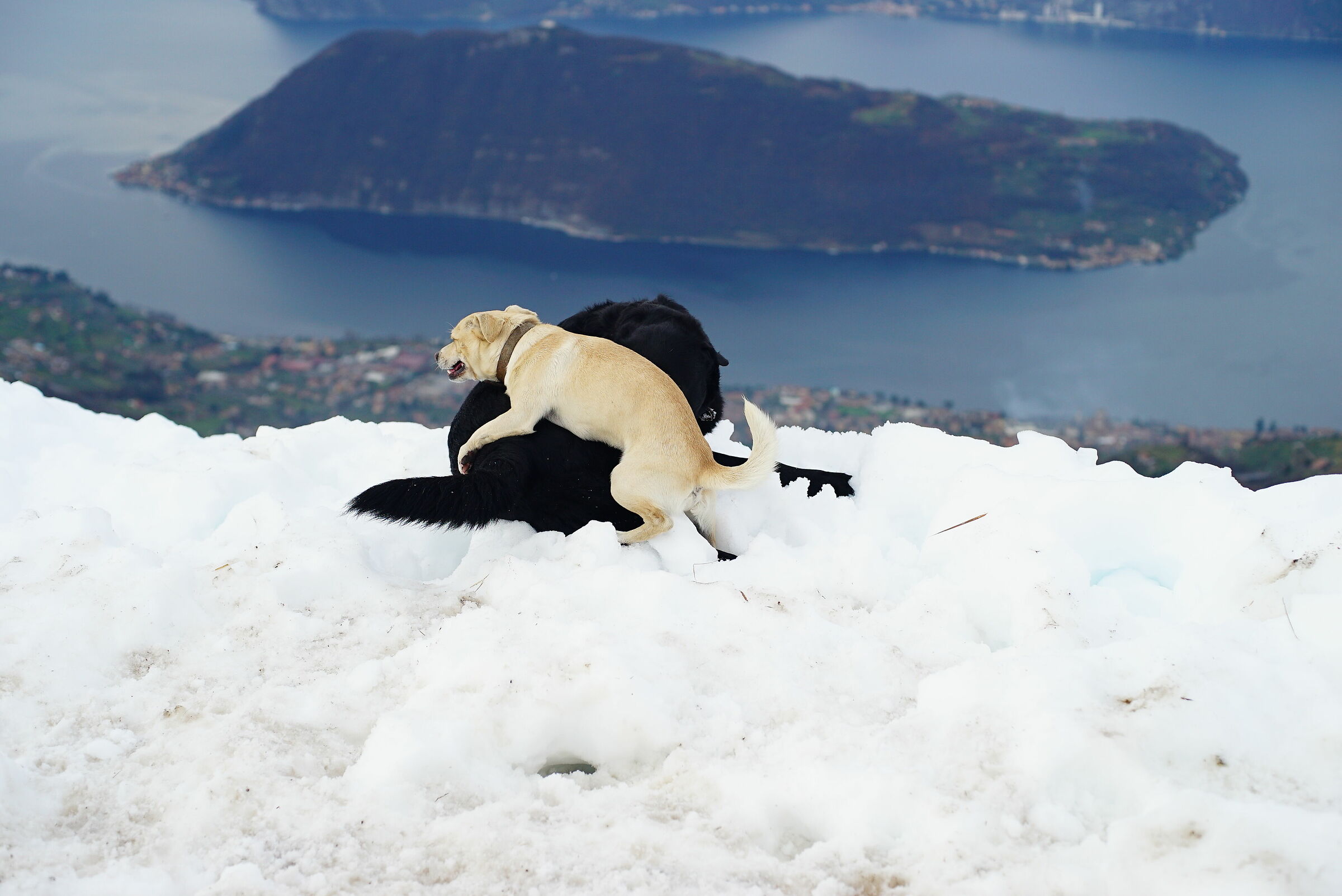 The Almana inspires... :)