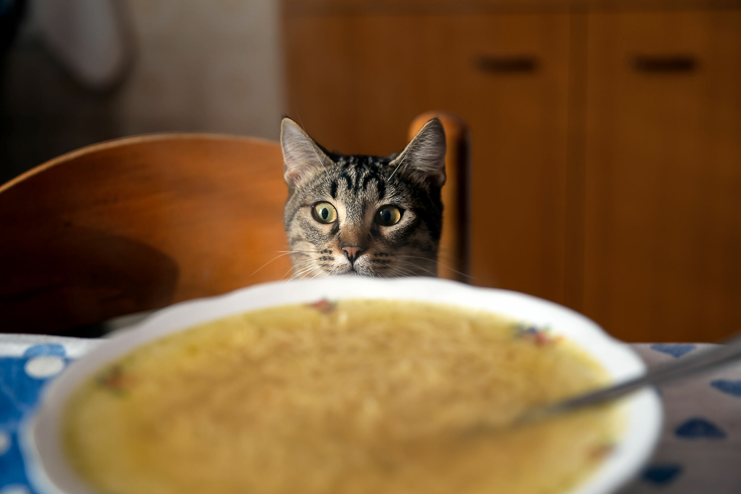 Non so se e' meglio saltare la finestra....