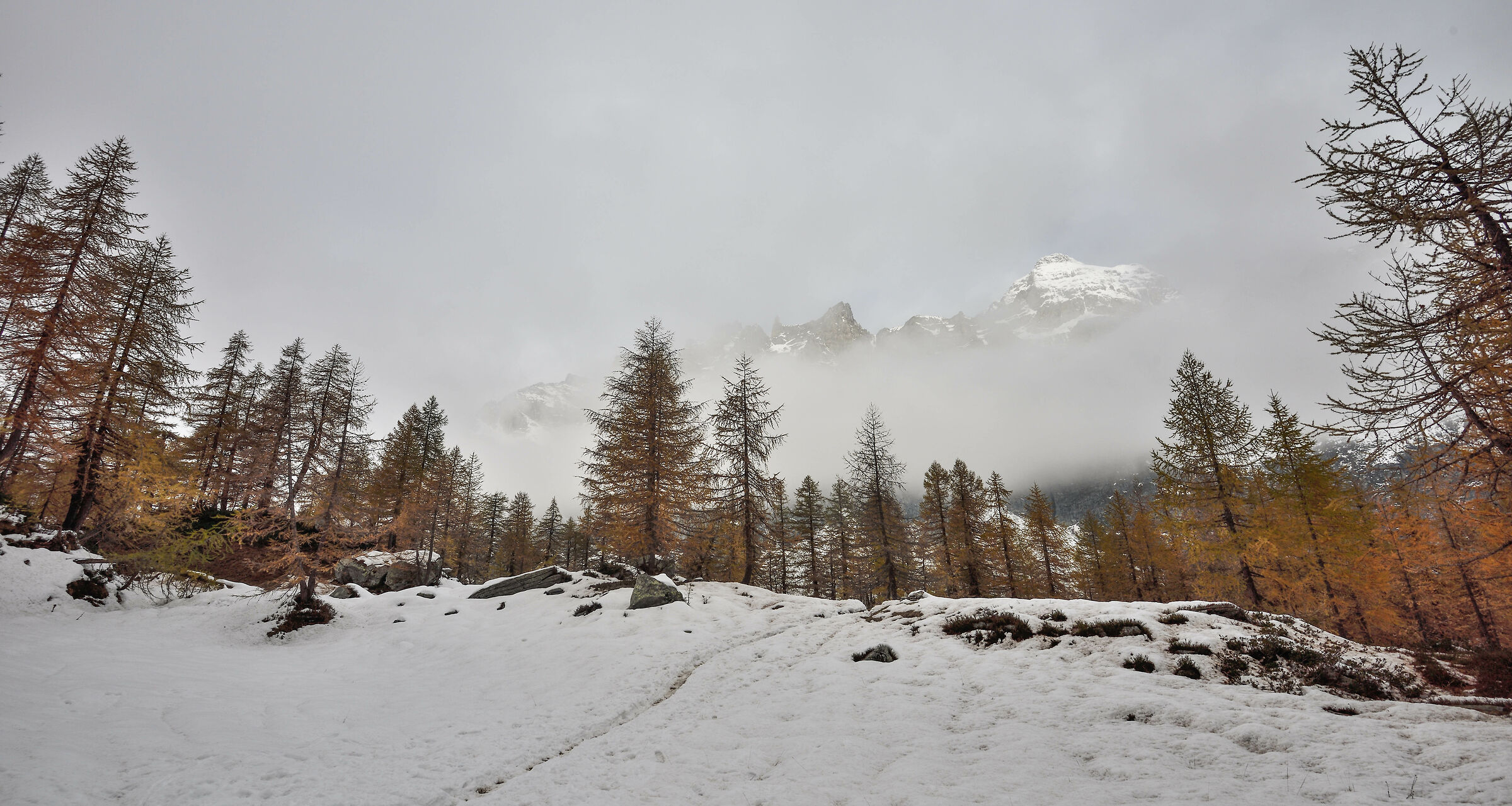 Alpe Devero - nei pressi del Lago Nero