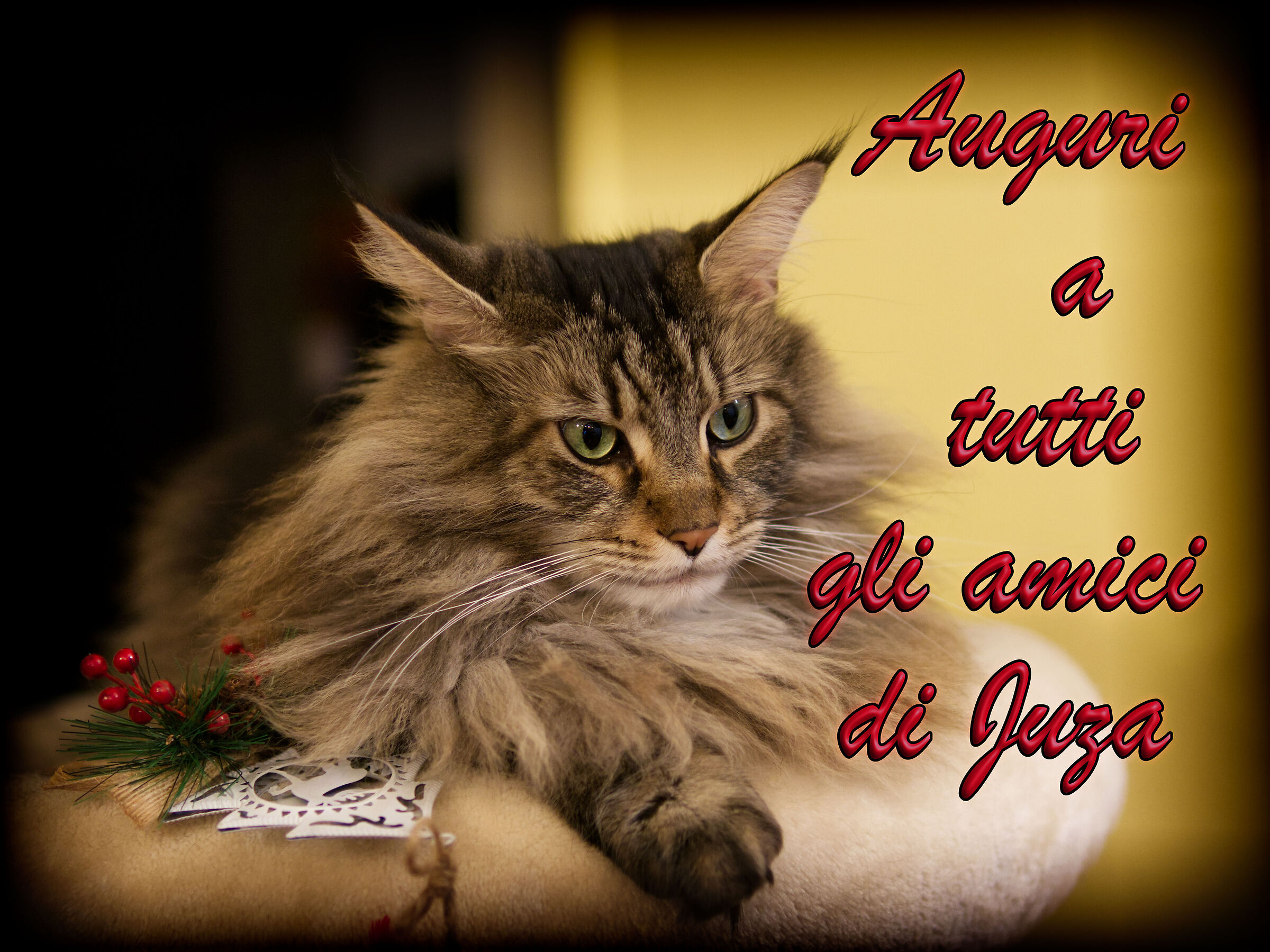 Tanti auguri cari amici