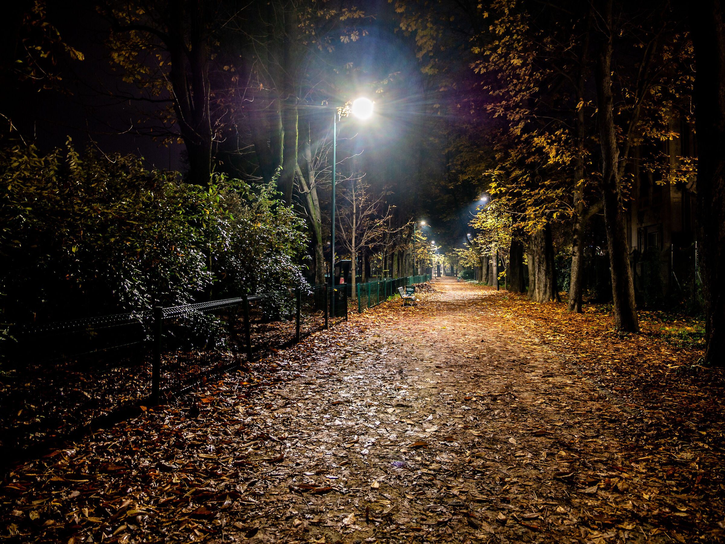 Parco Sempione - Milan