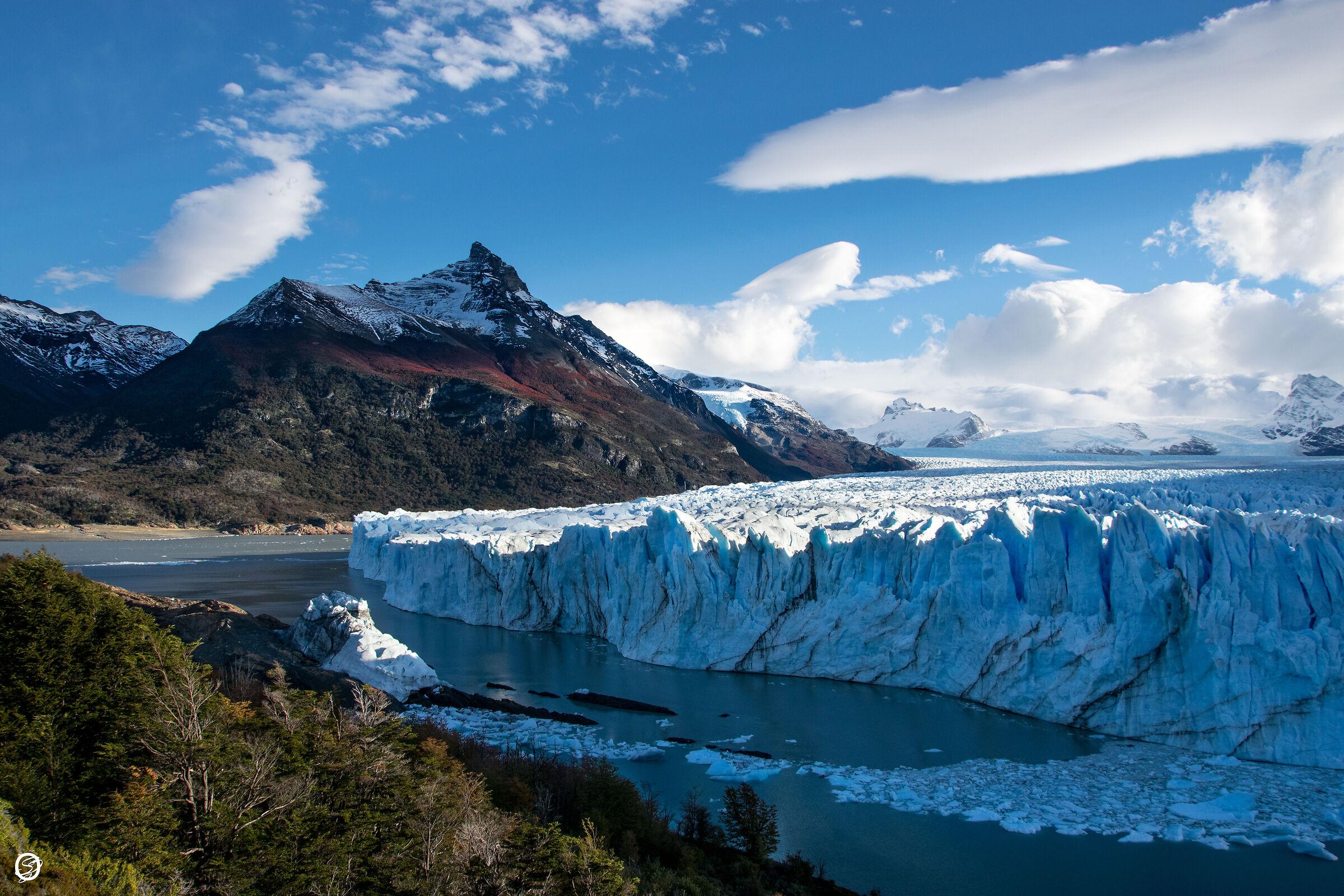His Majesty the Moreno-Argentina Expert