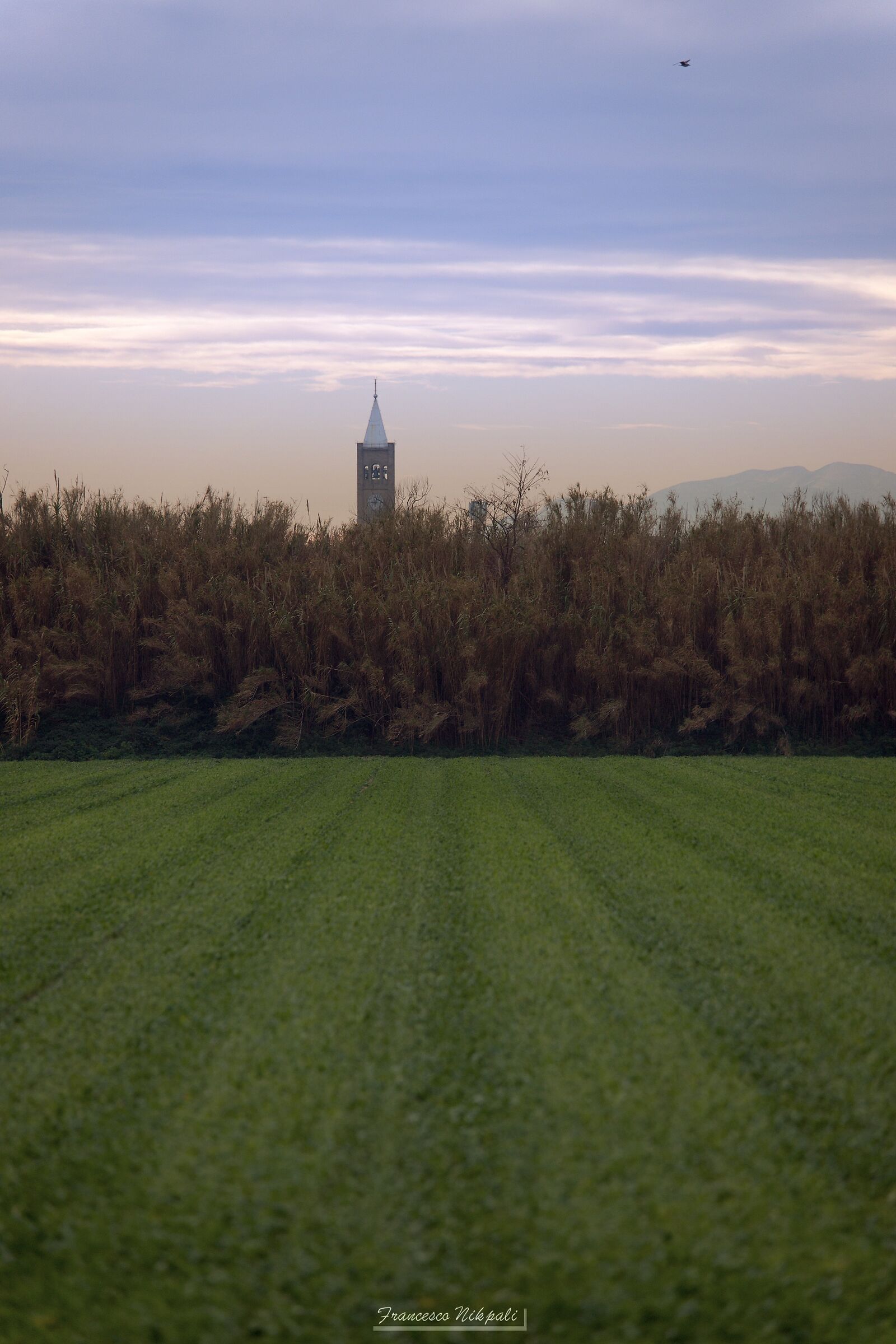 First line to the left