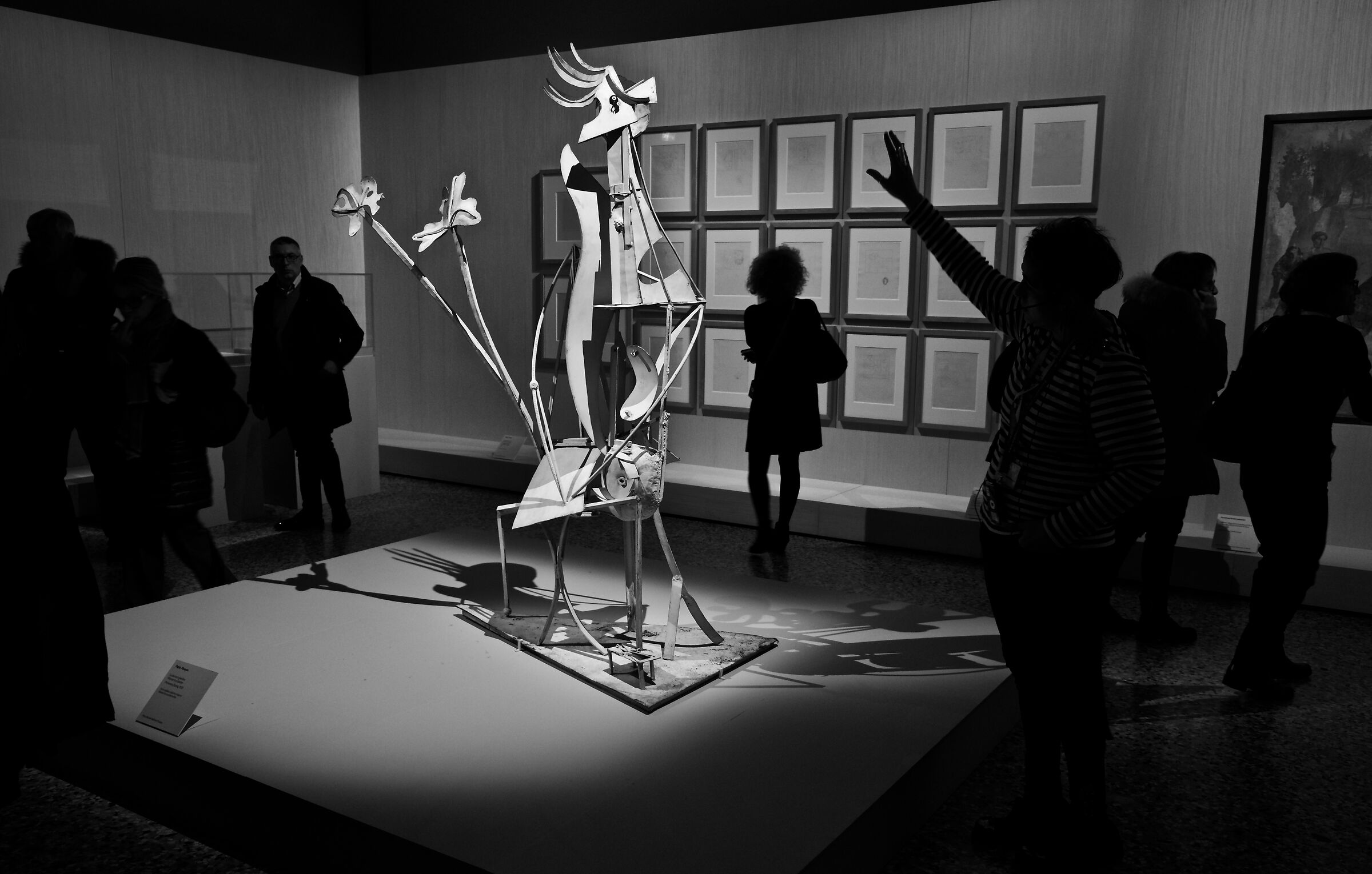 Il domatore di opere