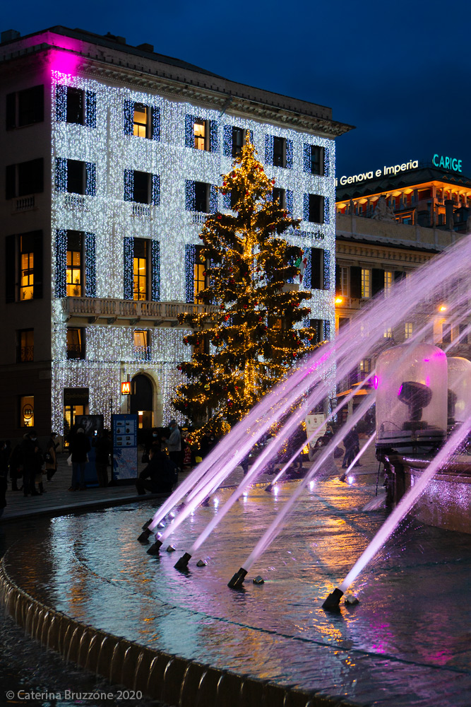 Happy Holidays... despite everything