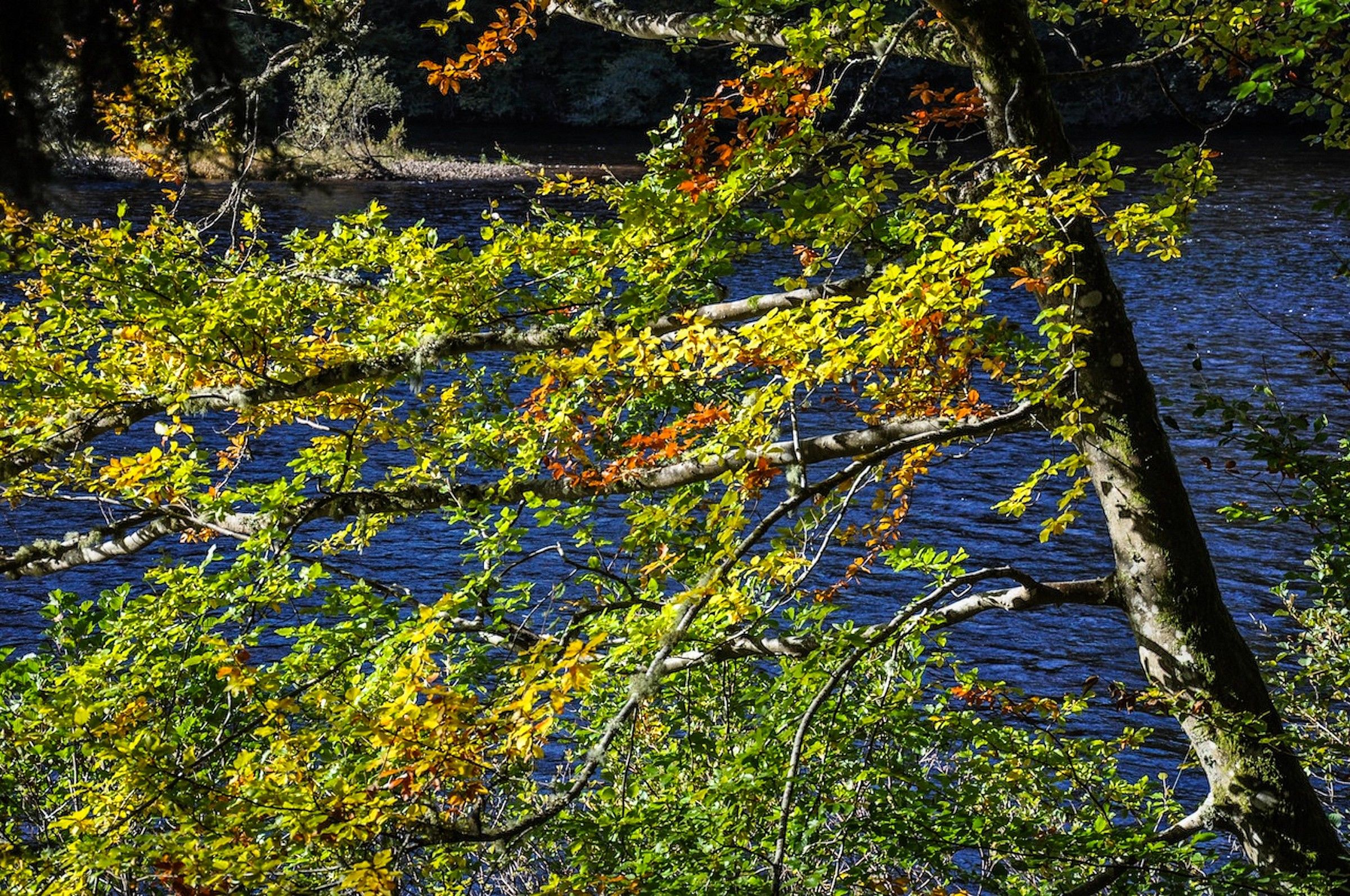 Ty River Dunkeld Scotland
