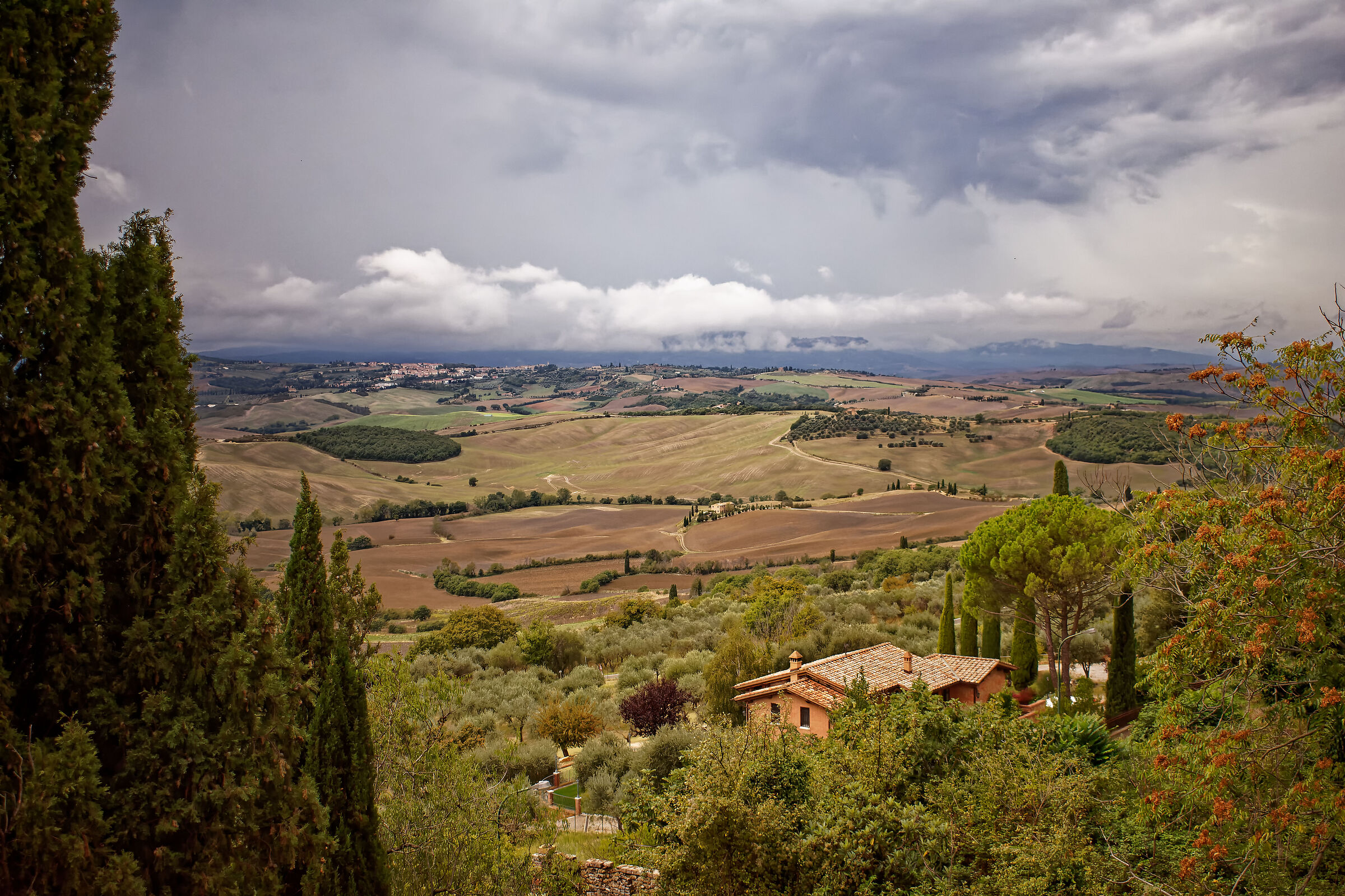 Glimpses of Val d'Orcia 2