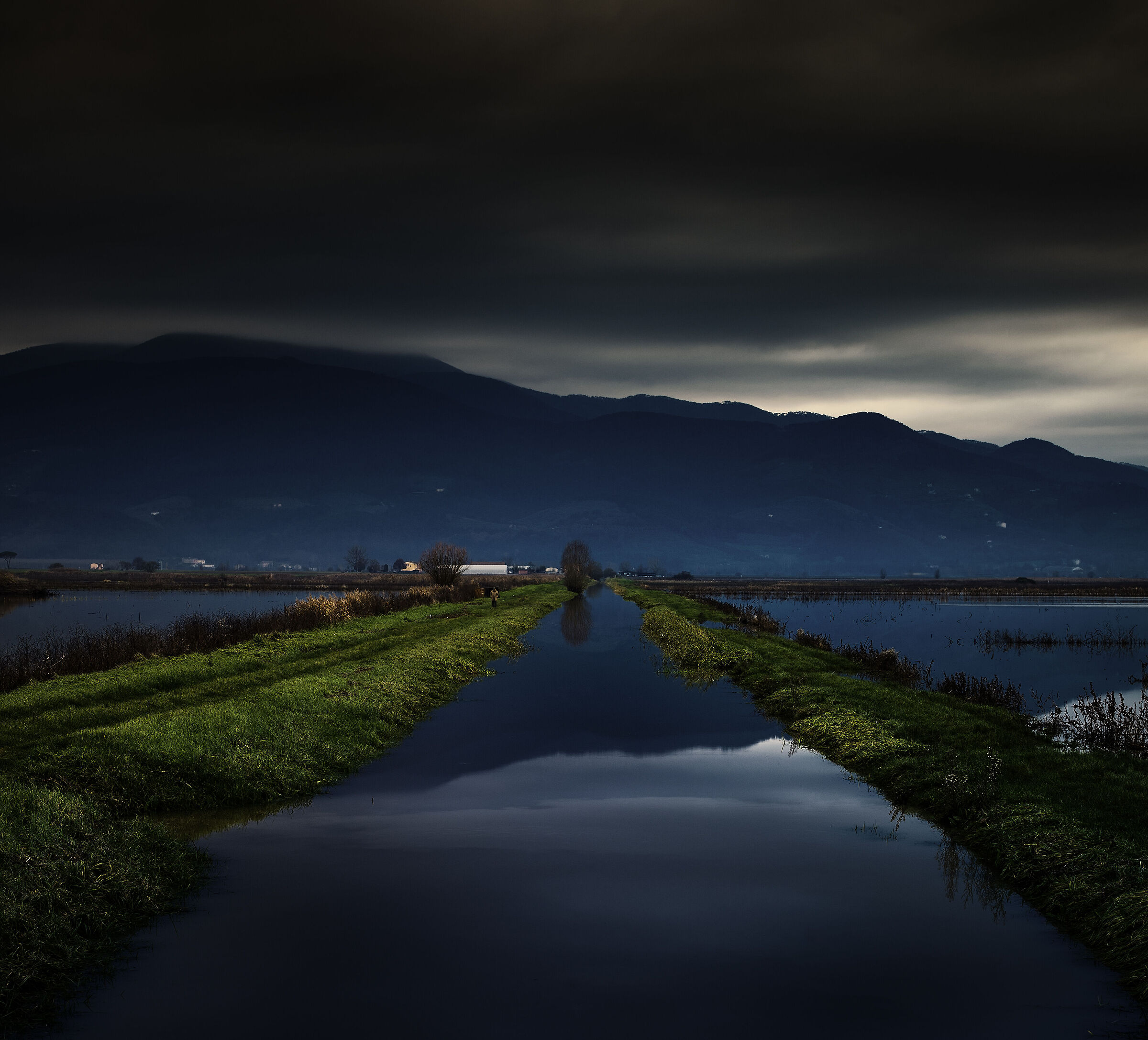 dal ponte