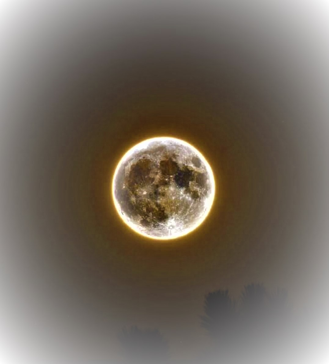 la luna e la nebbia...