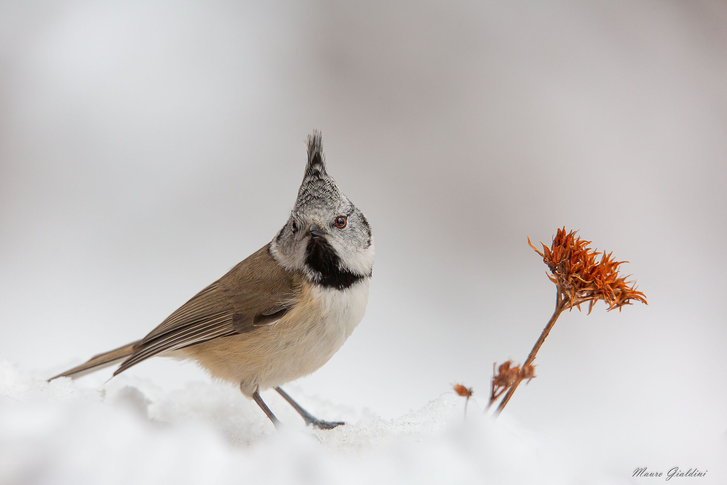 In posa come sul set