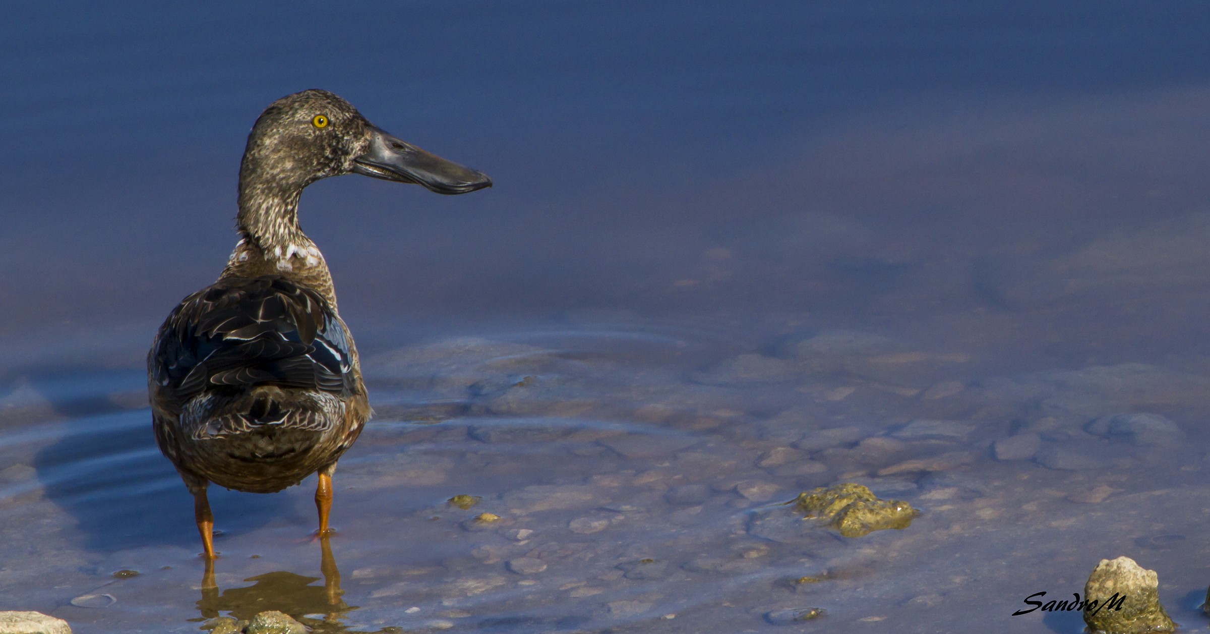 FROM WHAT I HAVE TO DO