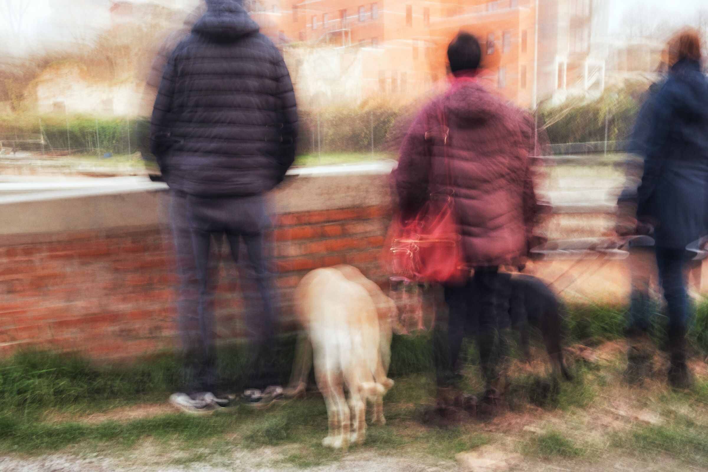 People and dogs