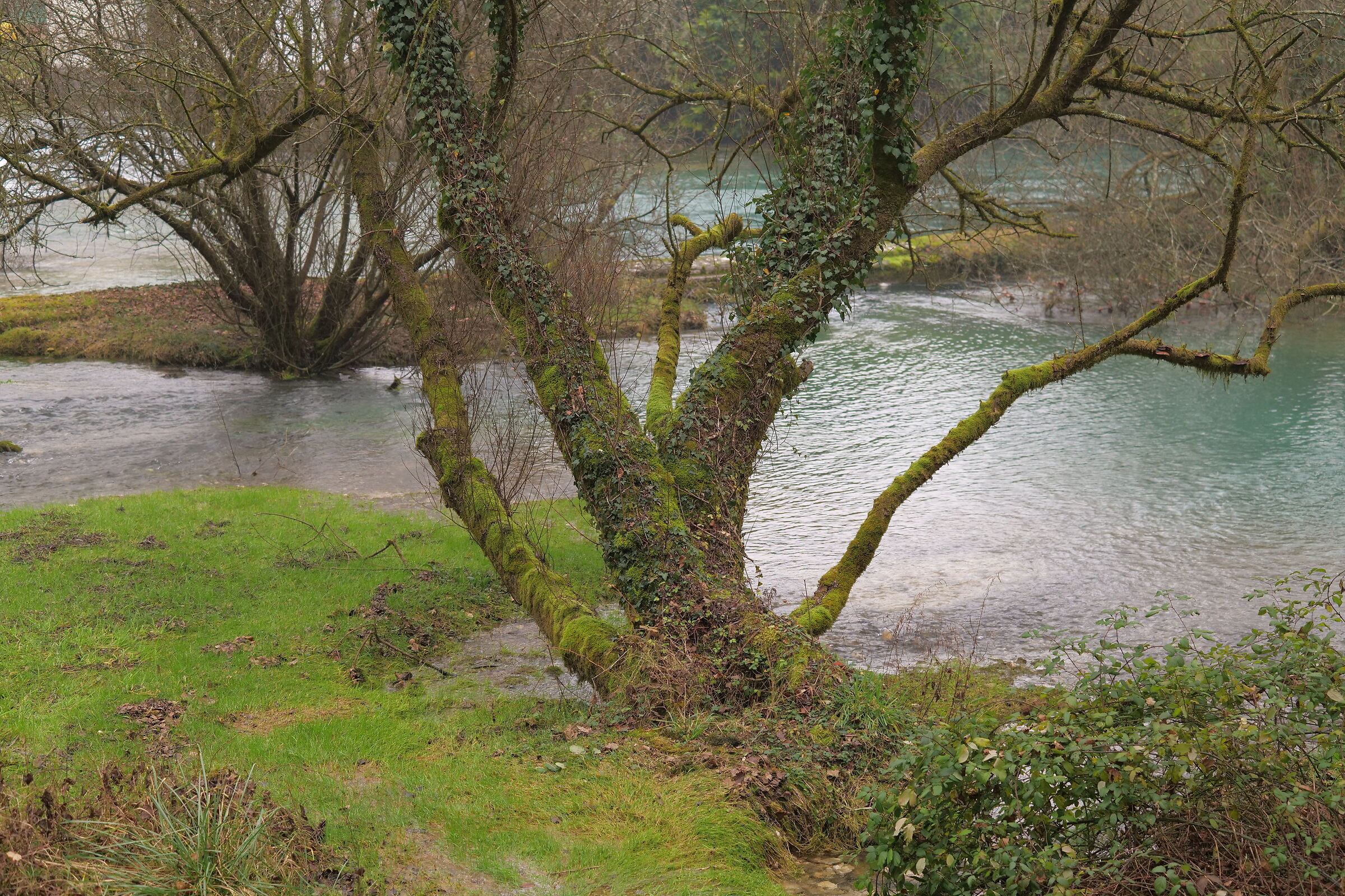 Sorgenti del Livenza