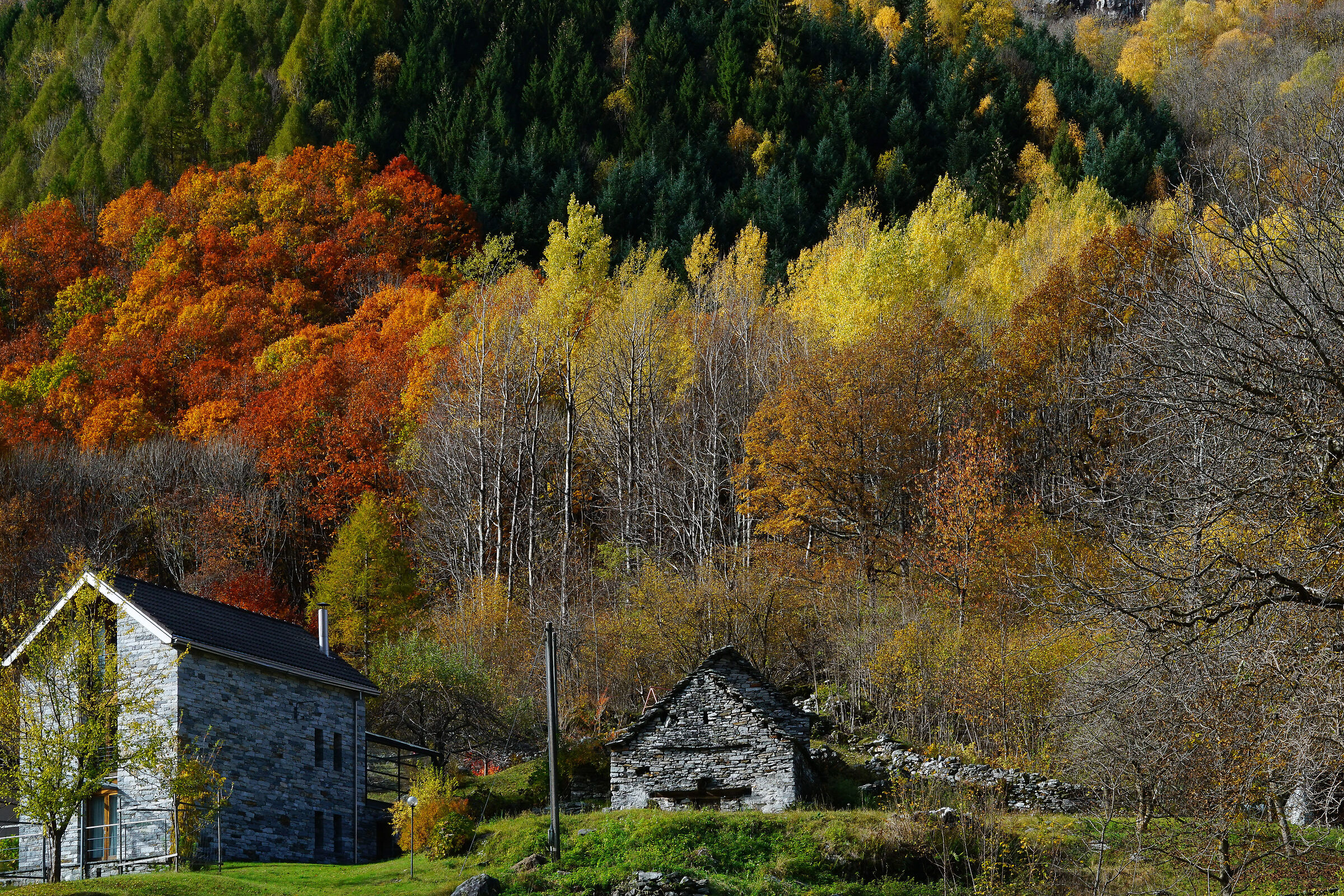 Autumn