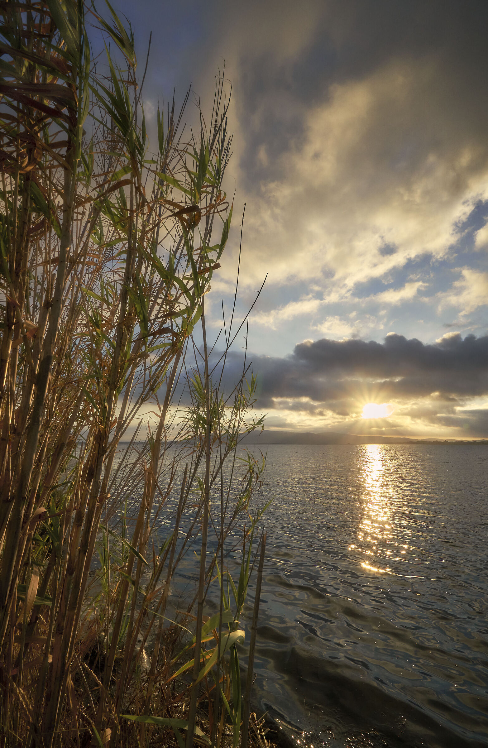 Eastern Lagoon