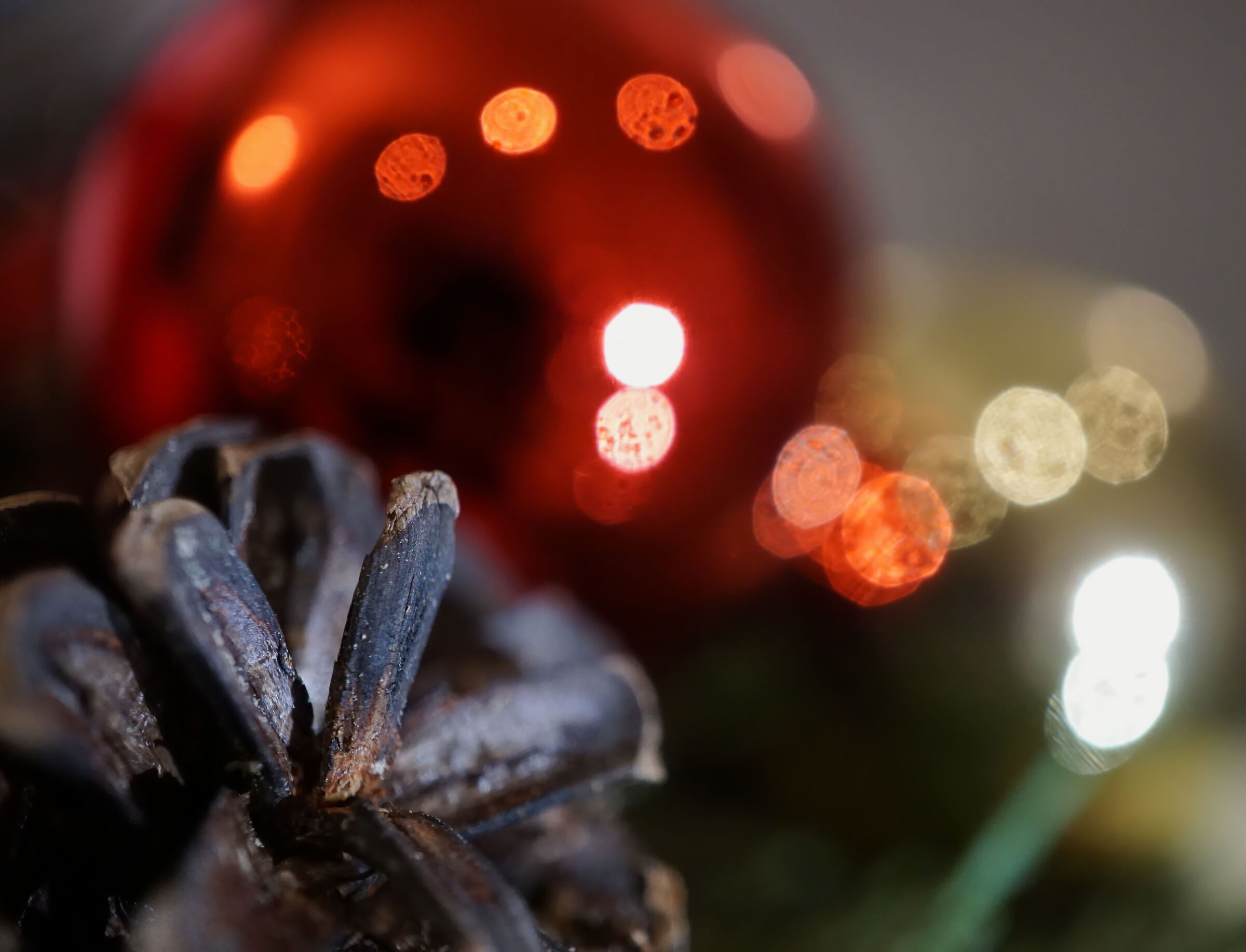 merry christmas to you...