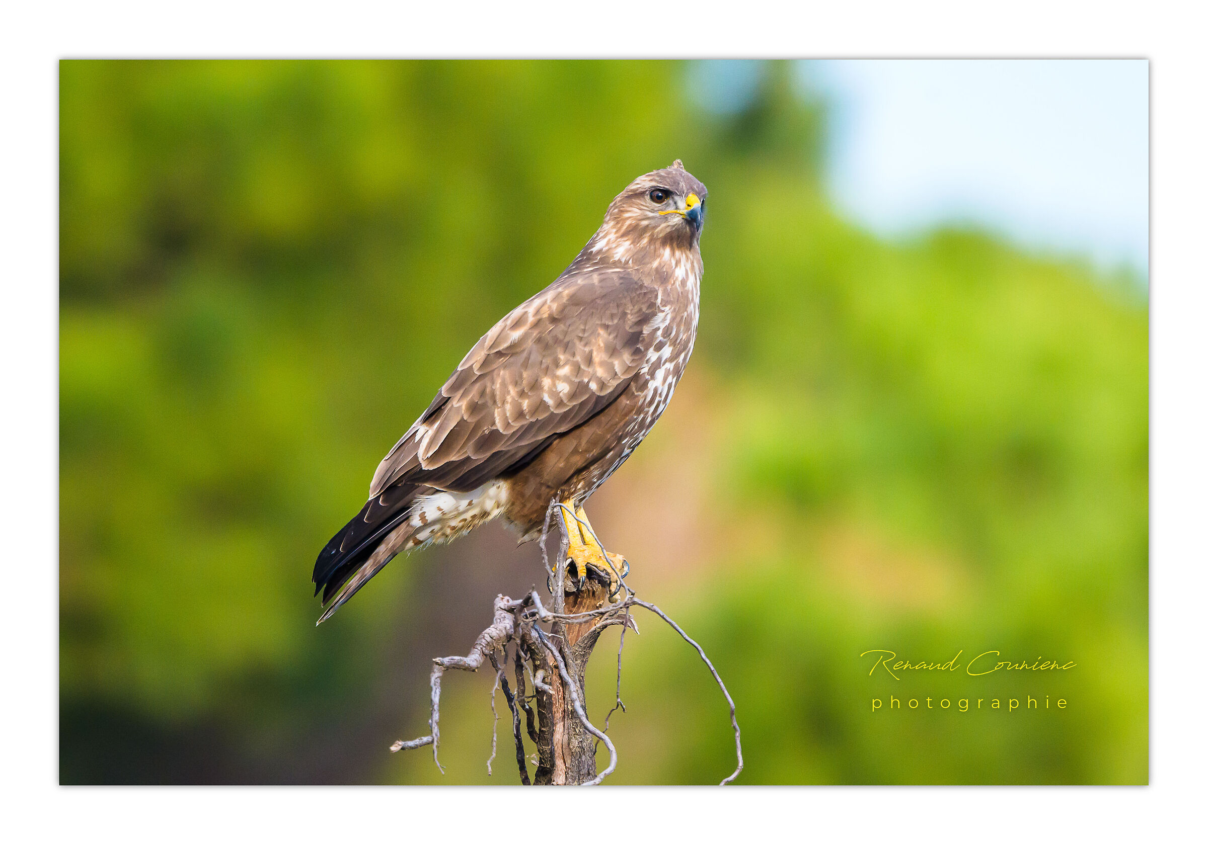 2 secondi per l'attivazione