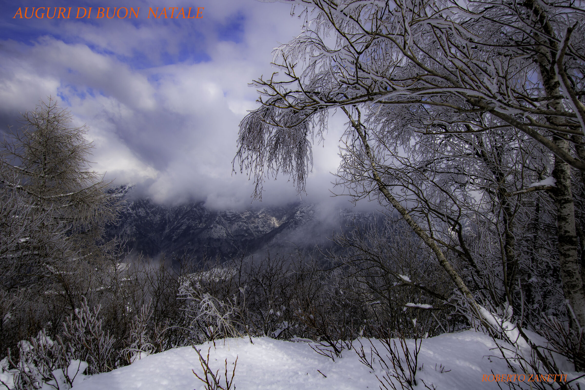 auguri di buon natale a tutti