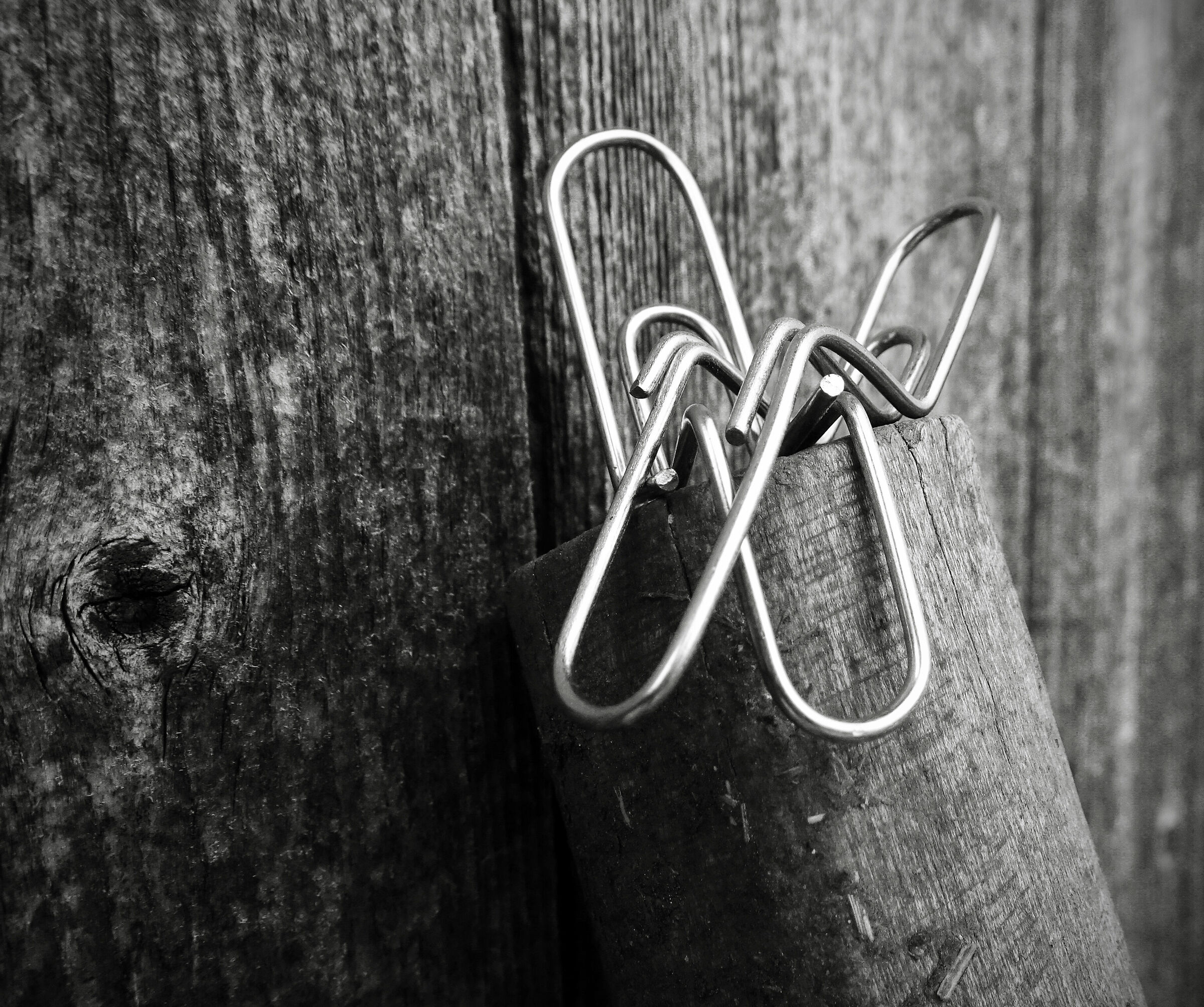 torneremo a stare vicini