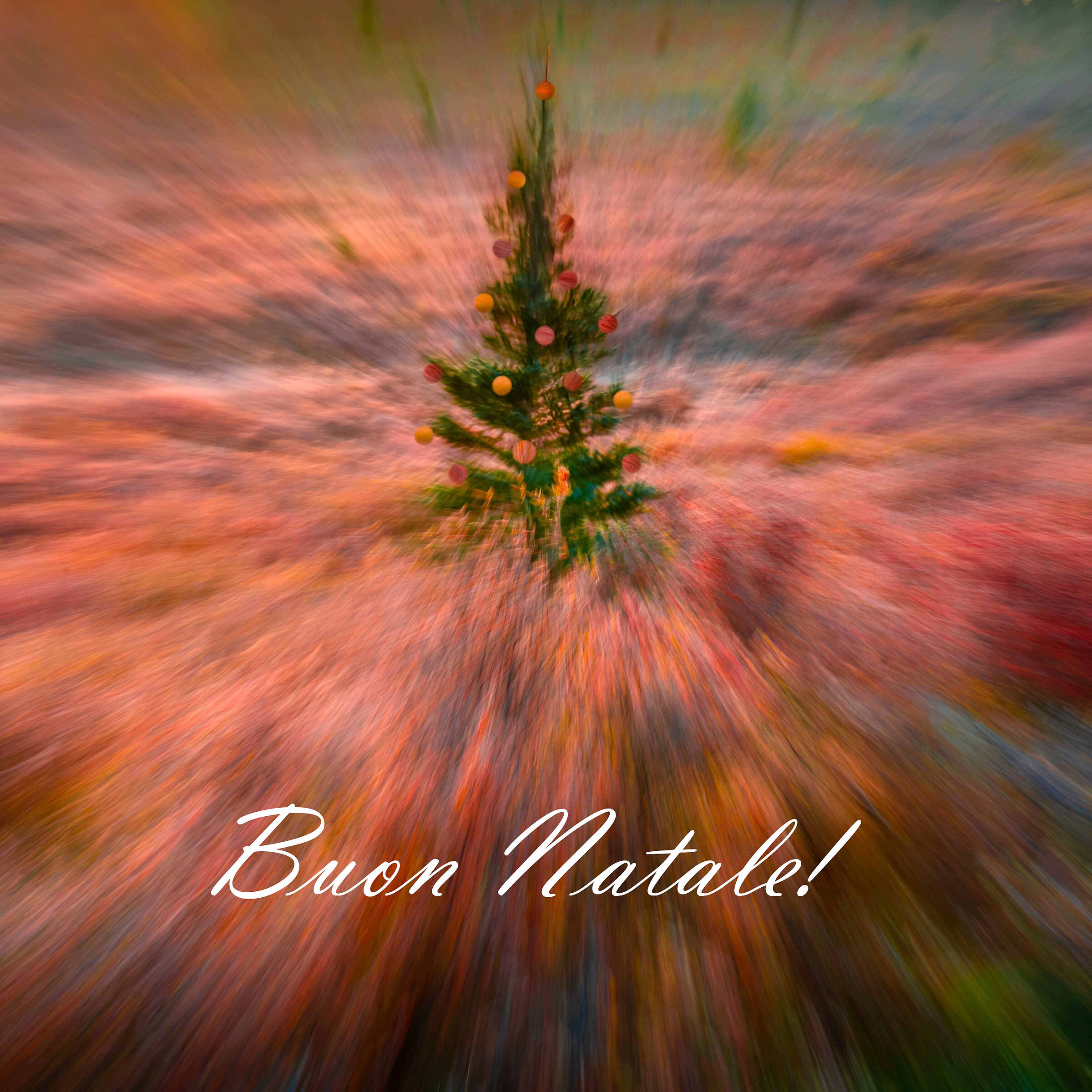 Auguri di Buone Feste!