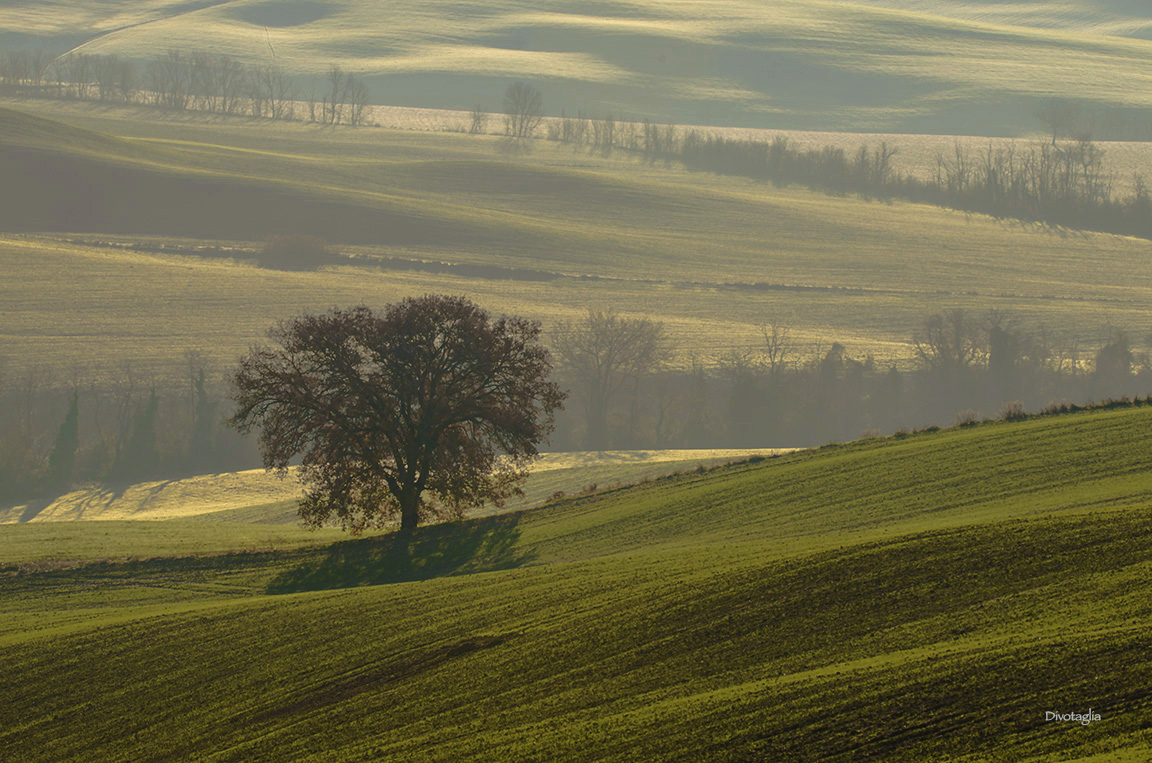Ondulazioni in Val D'Orcia