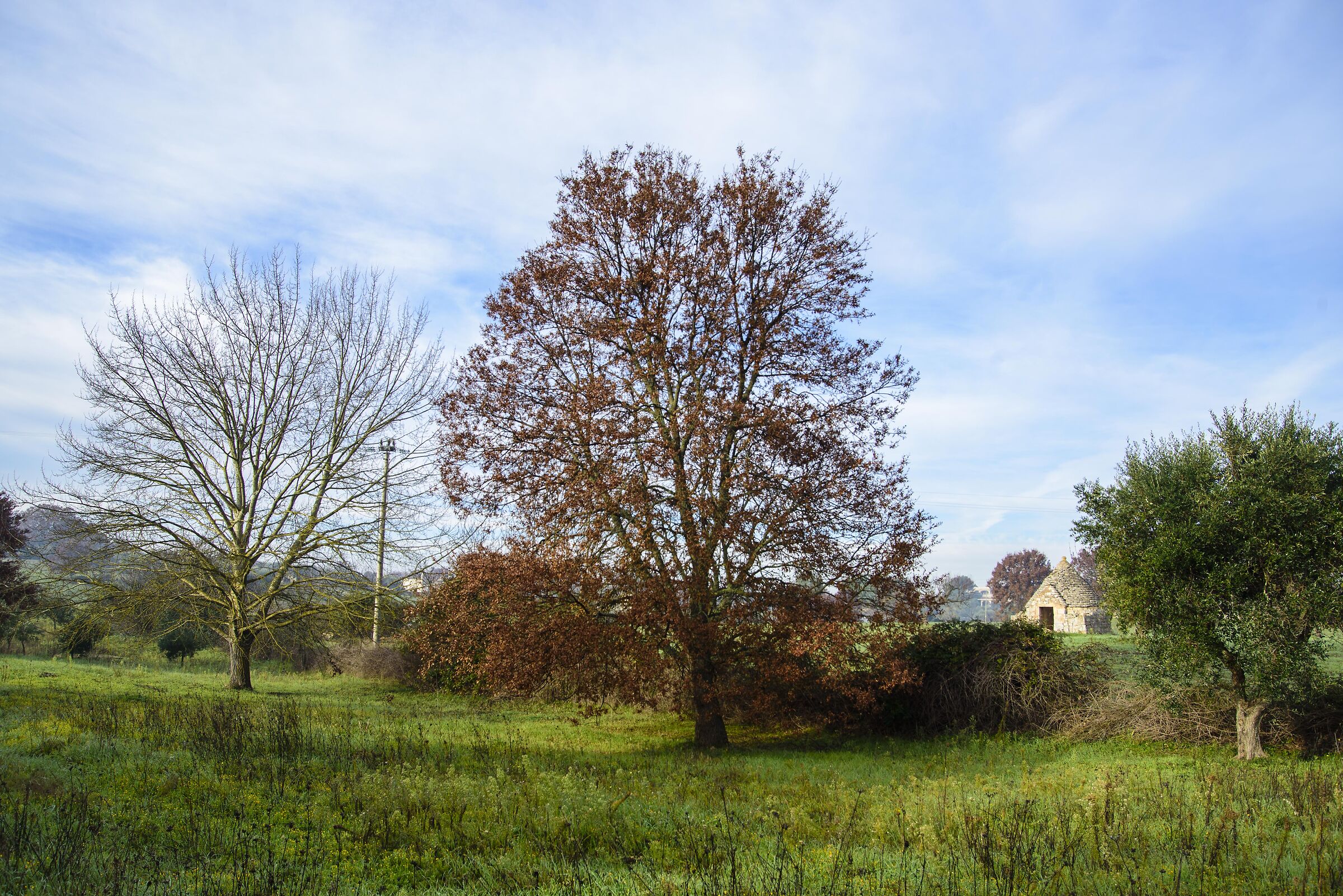 Valle d'Itria 3