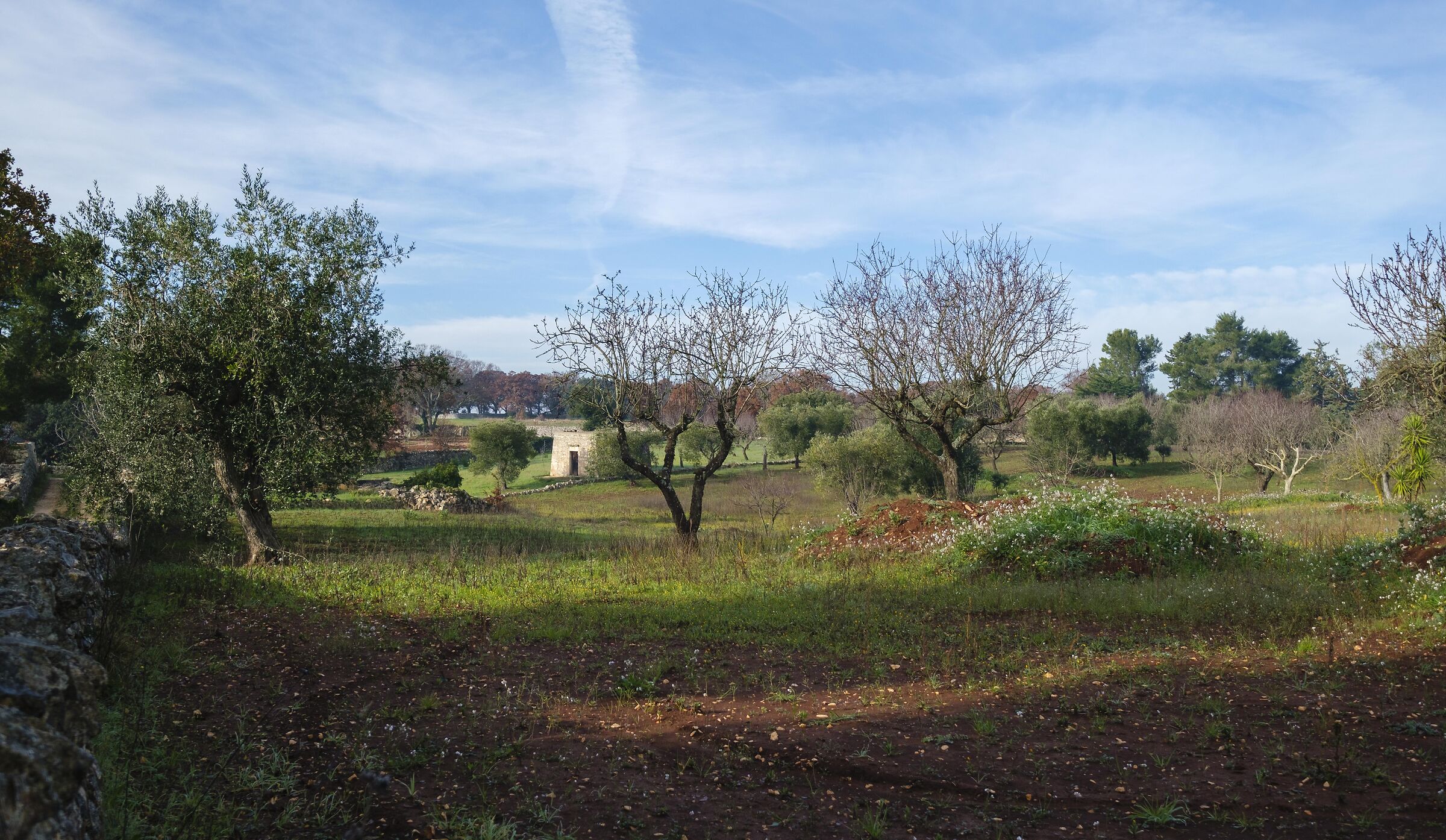 Valle d'Itria 4