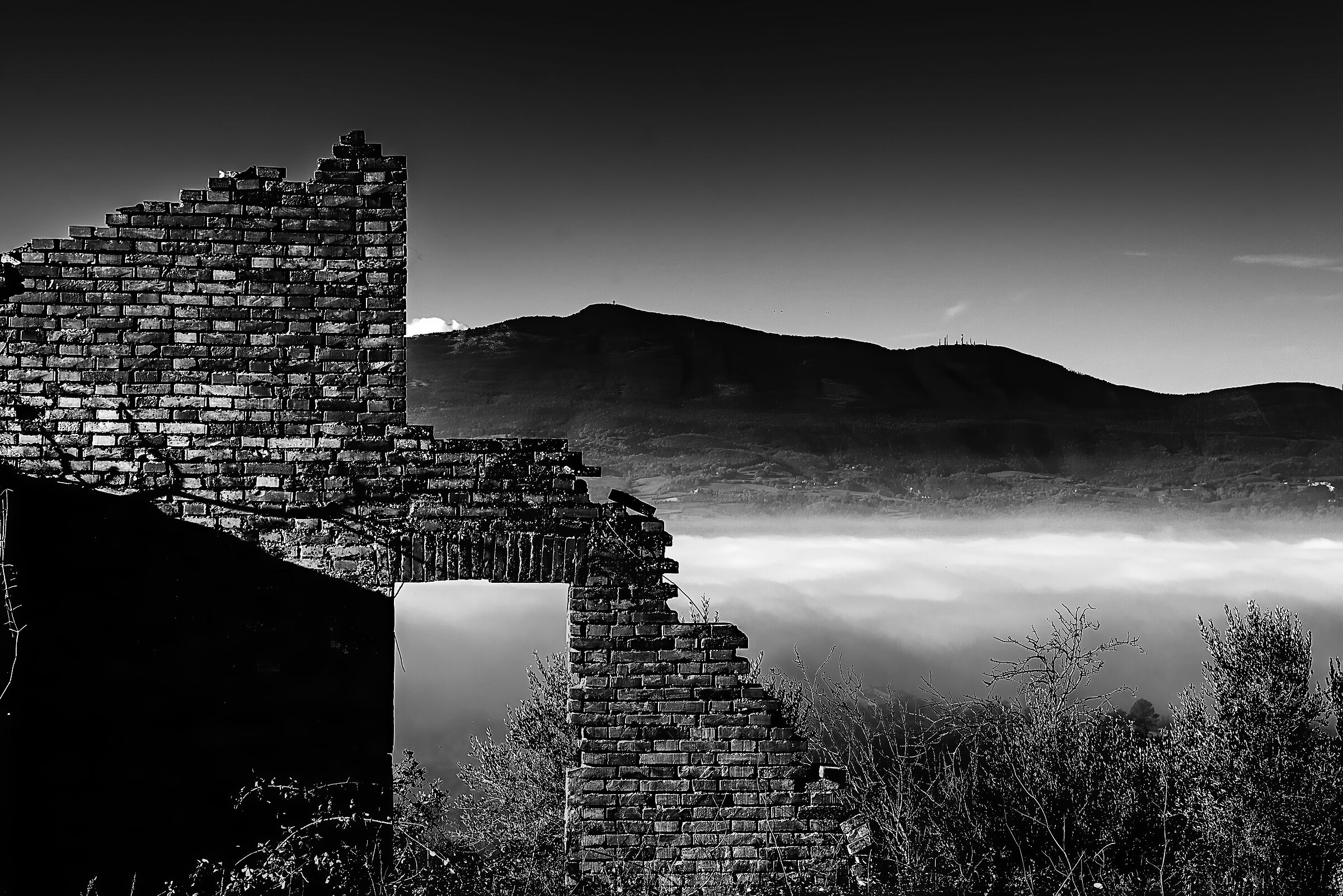 tri angolazioni su nebbia