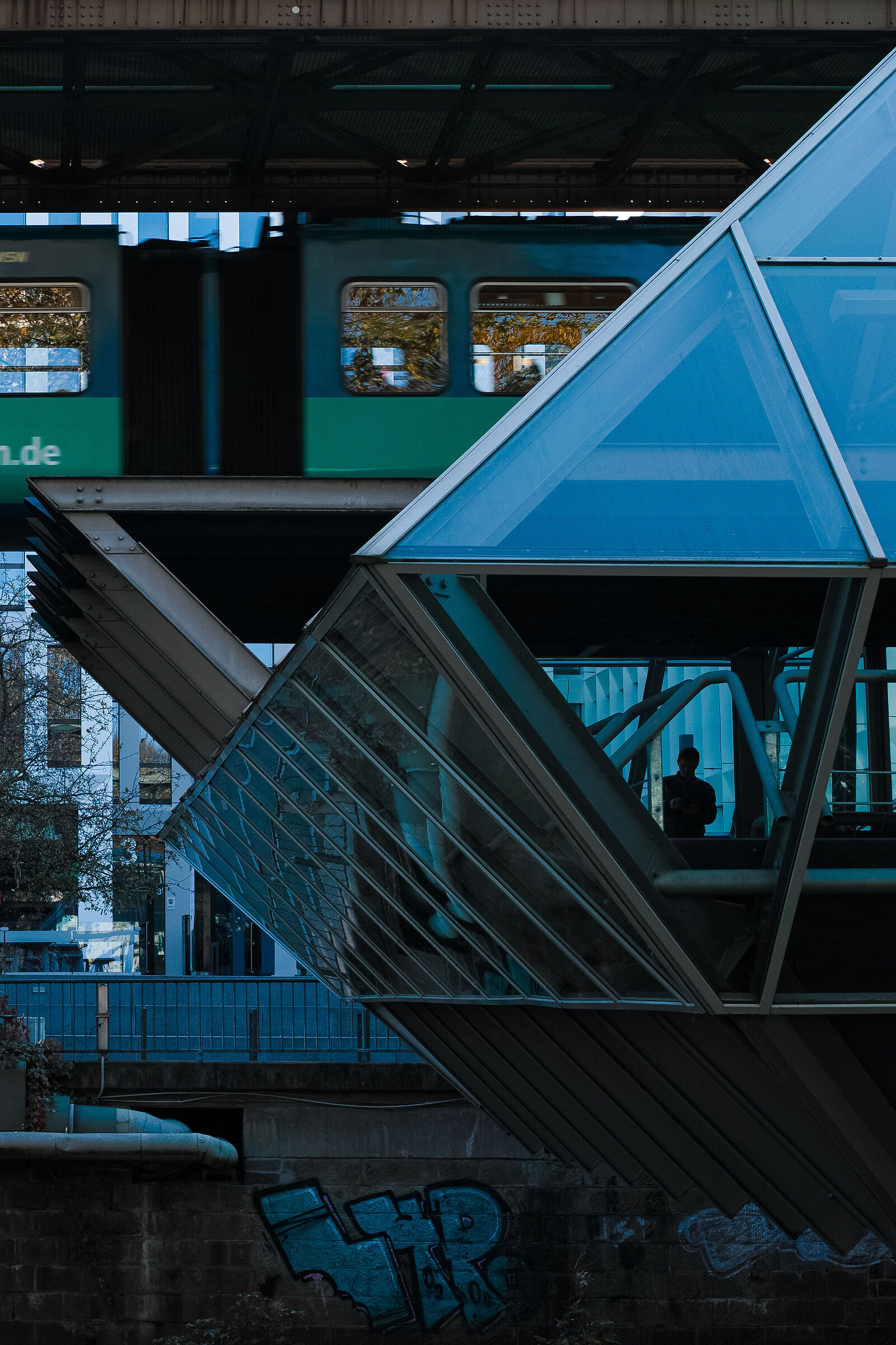 The Observer in Blue