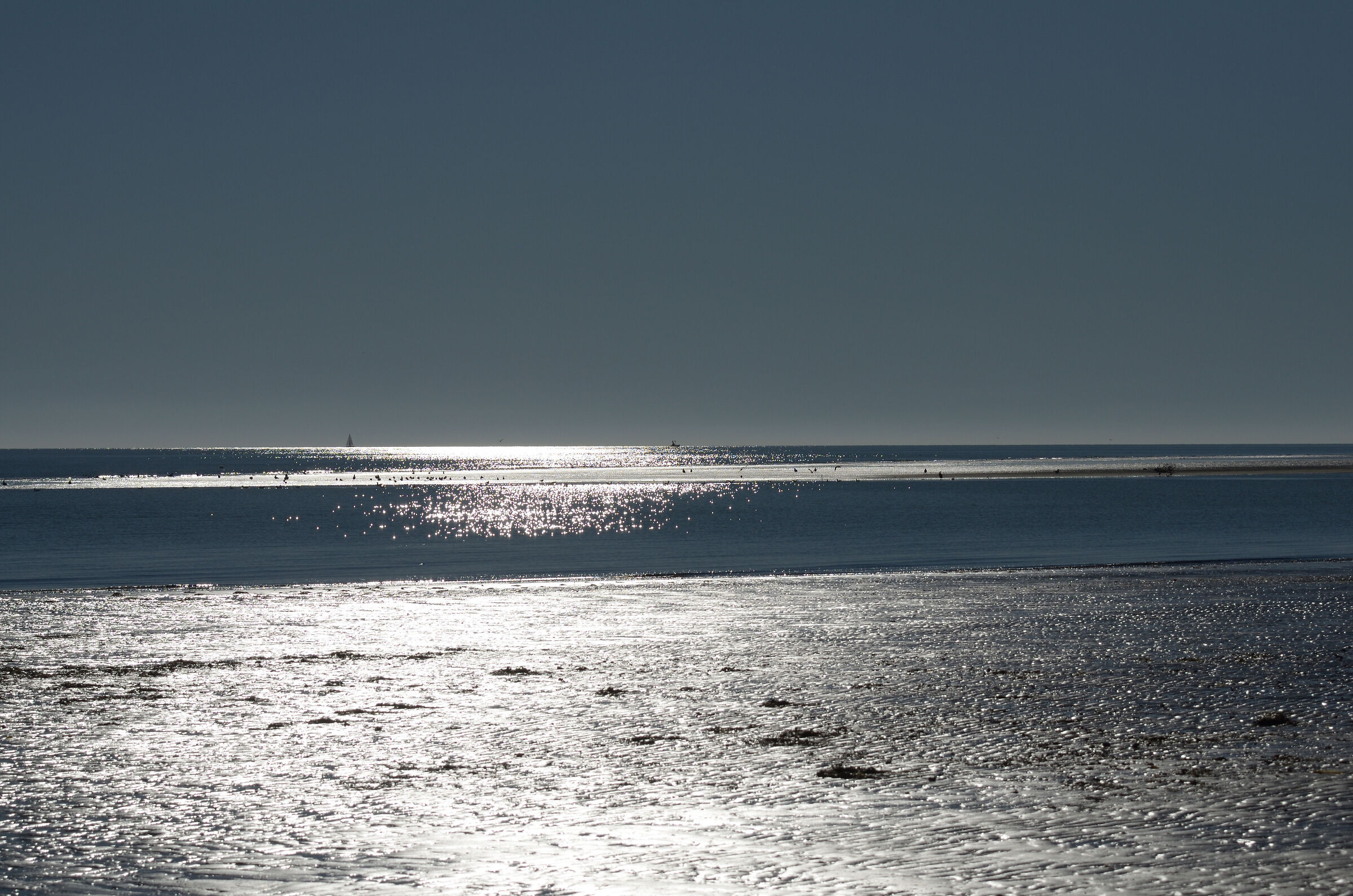 Bassa Marea