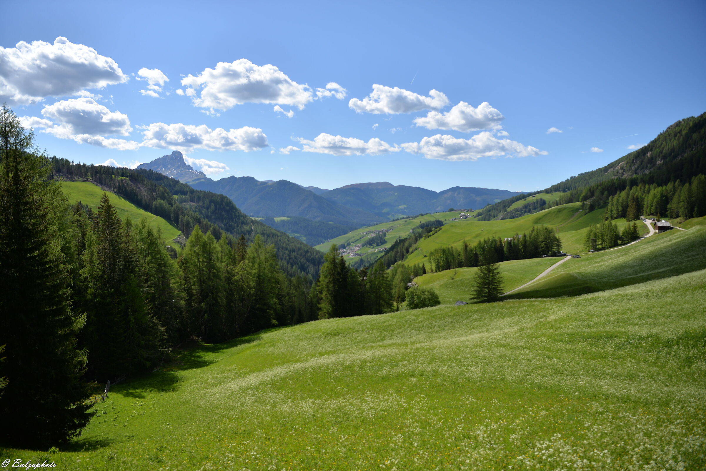 I fiori della primavera sono i sogni dell`inverno