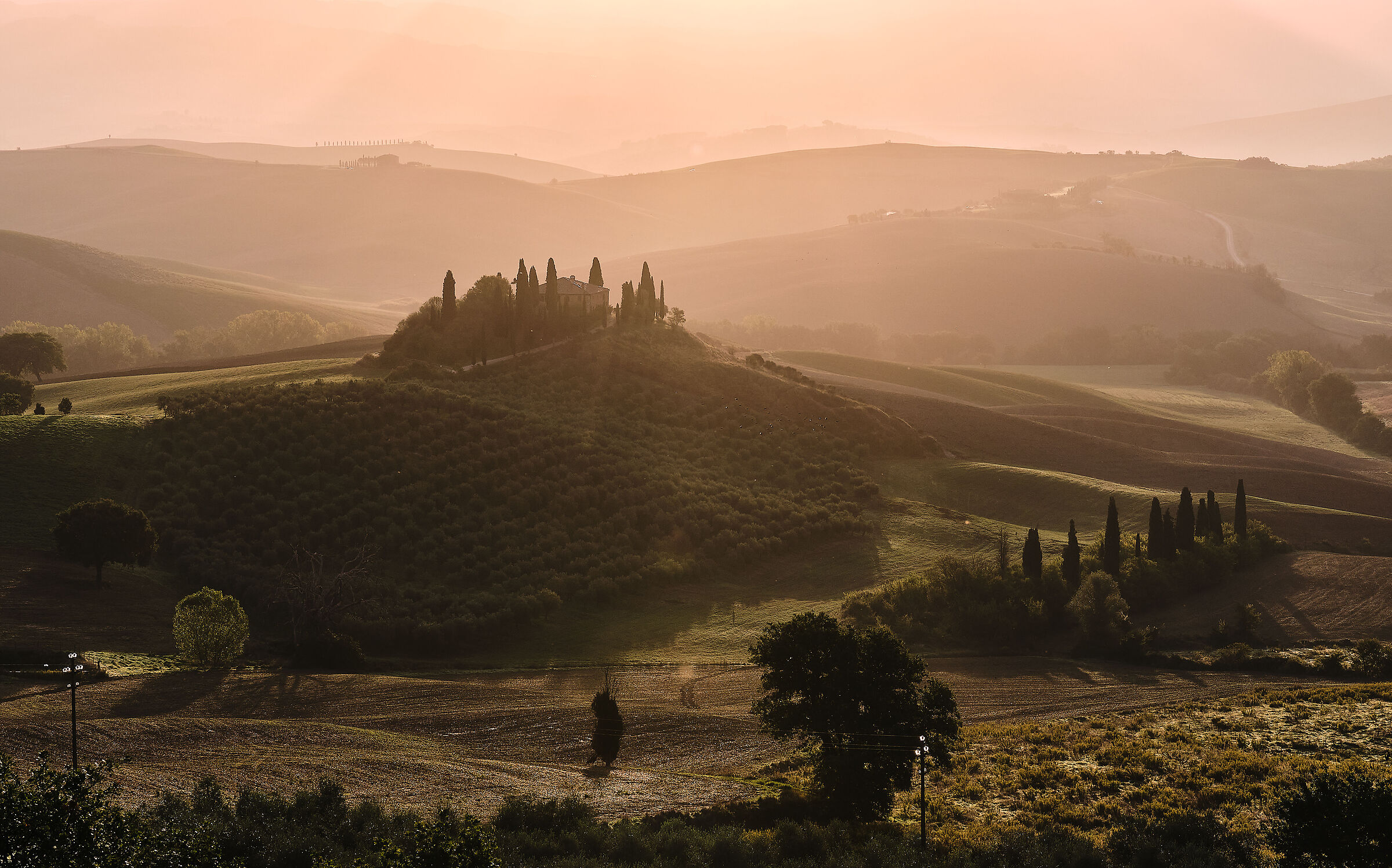 Alba un anno dopo Podere Belvedere