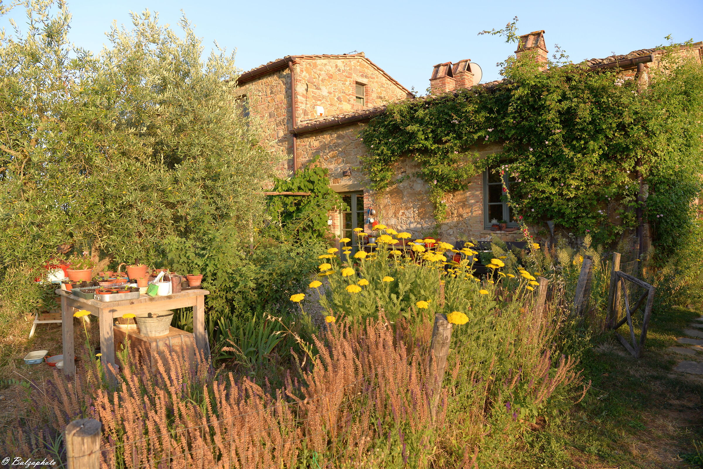 The donzelletta comes from the countryside