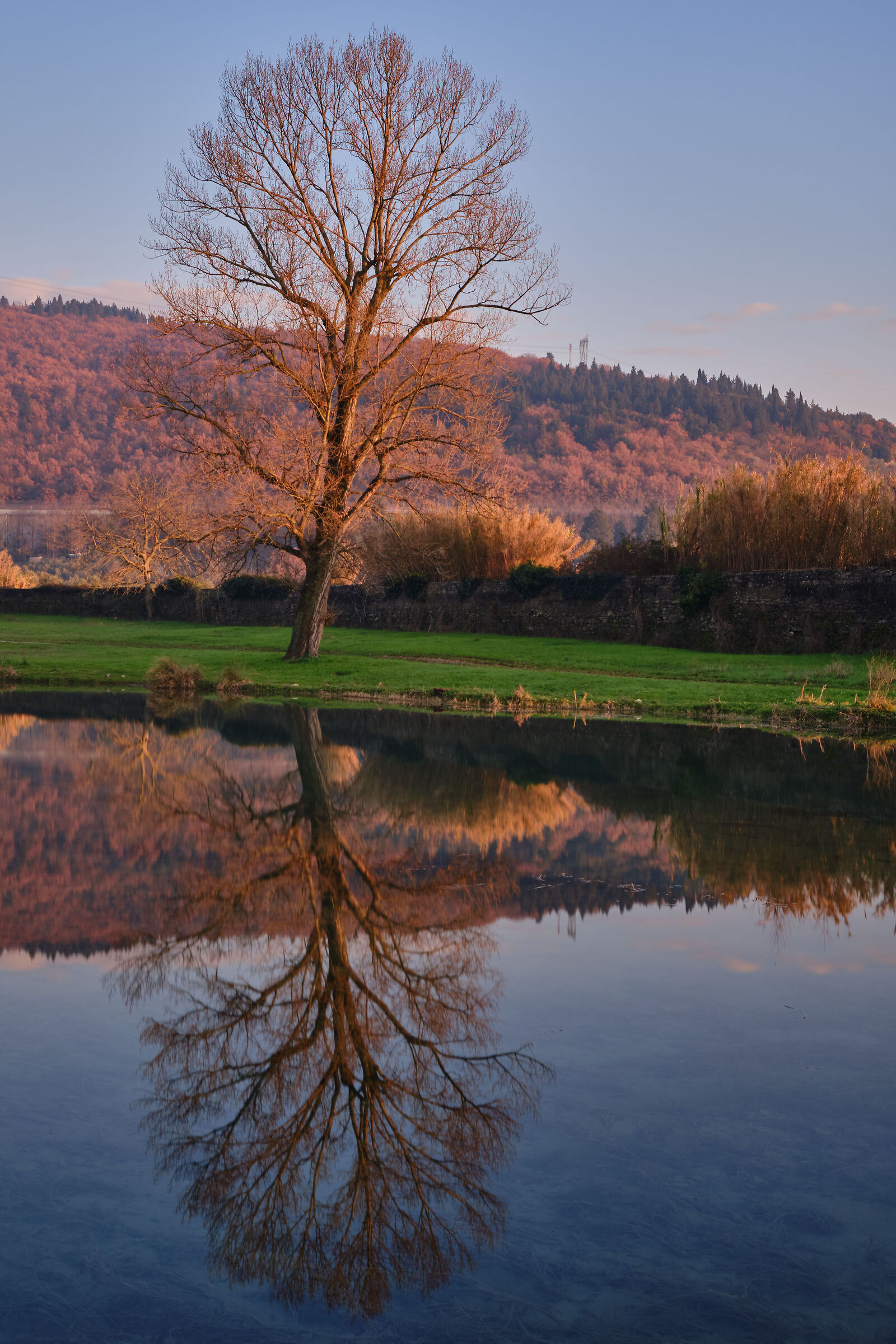 Travalle - Calenzano