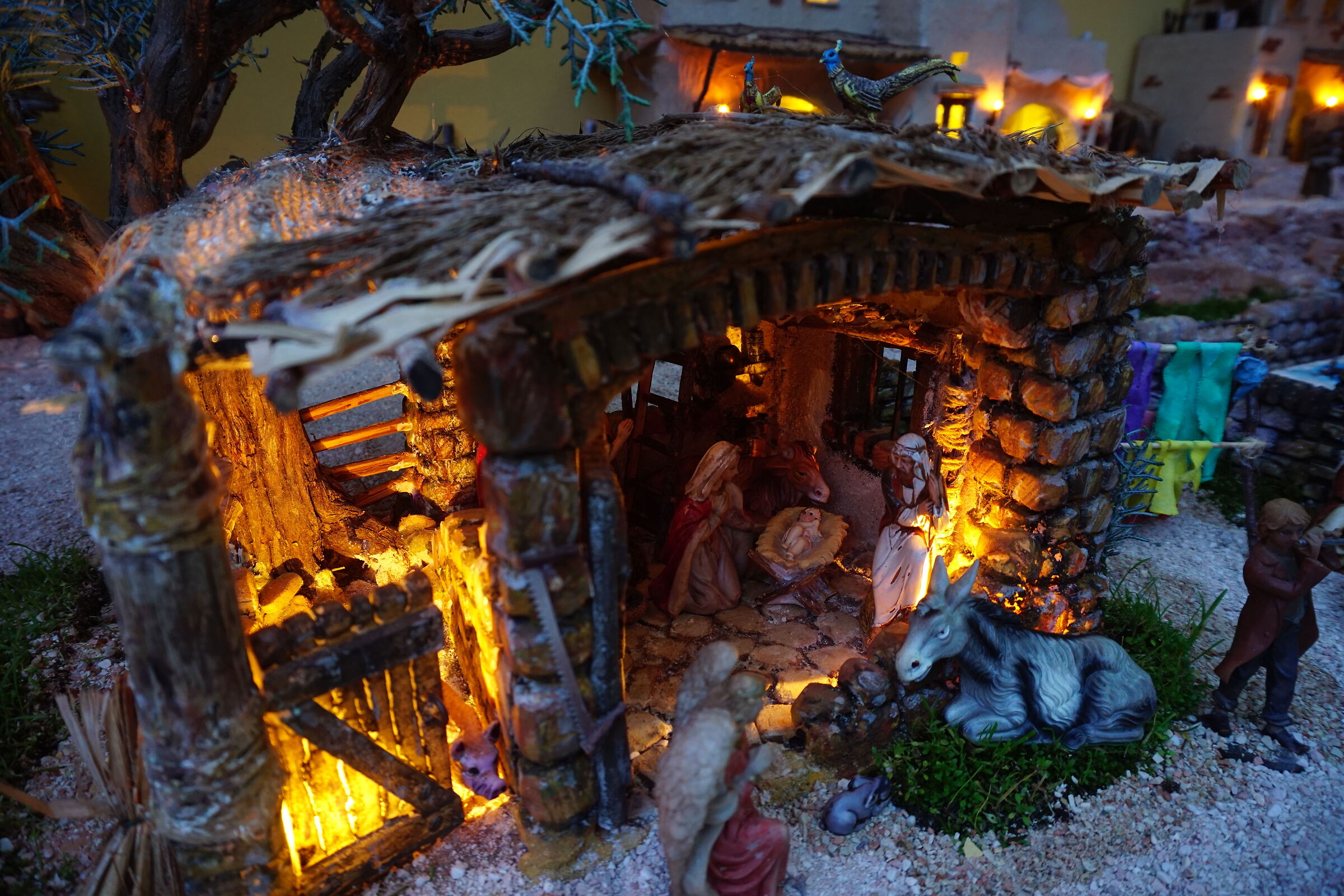 Presepe
