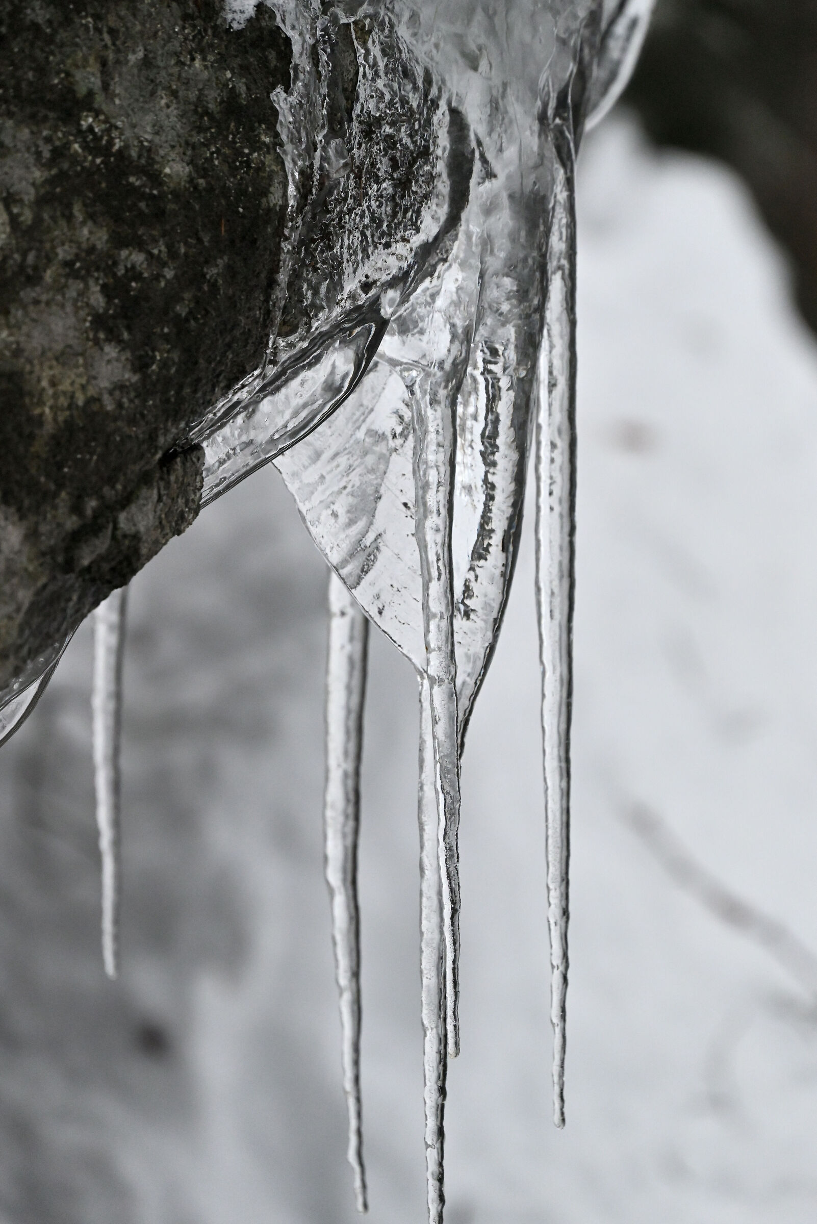 Cold