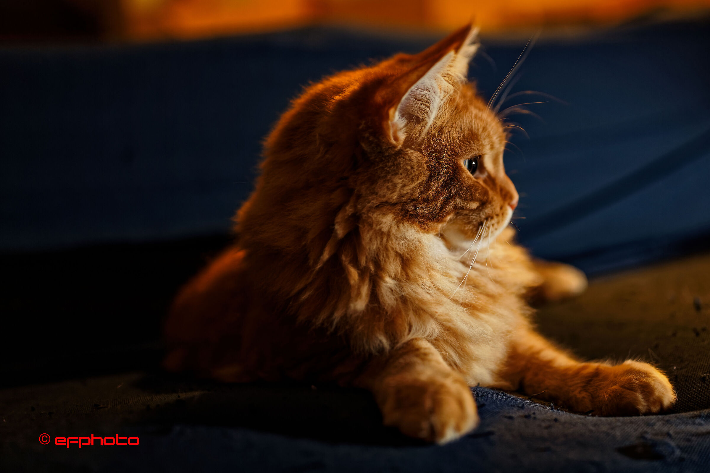 Kiro