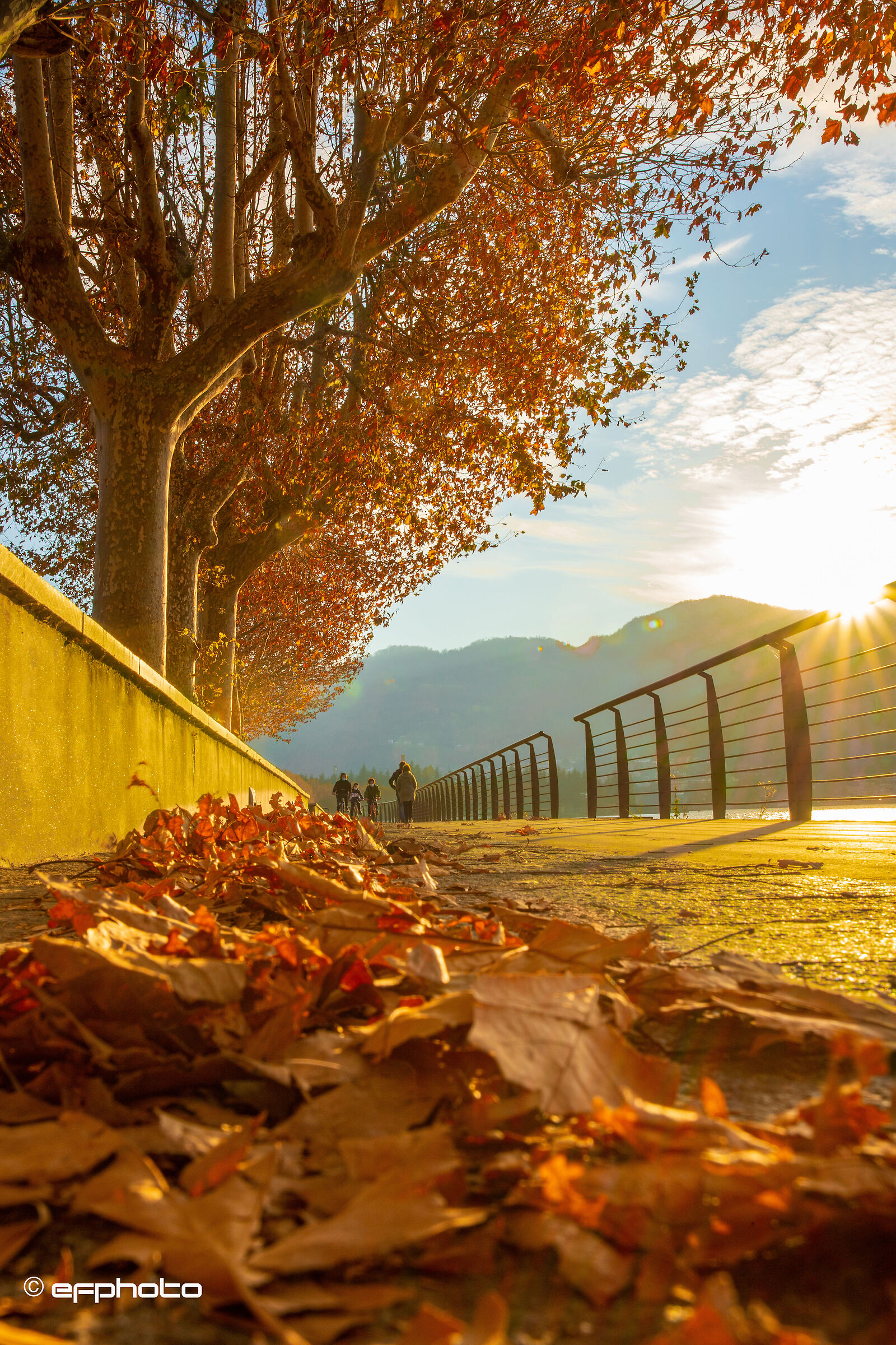 Autumn